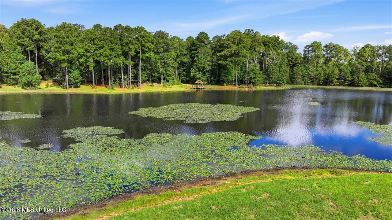 1511 Hwy 469 Property Photo 116