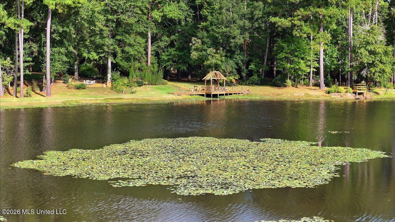 1511 Hwy 469 Property Photo 117