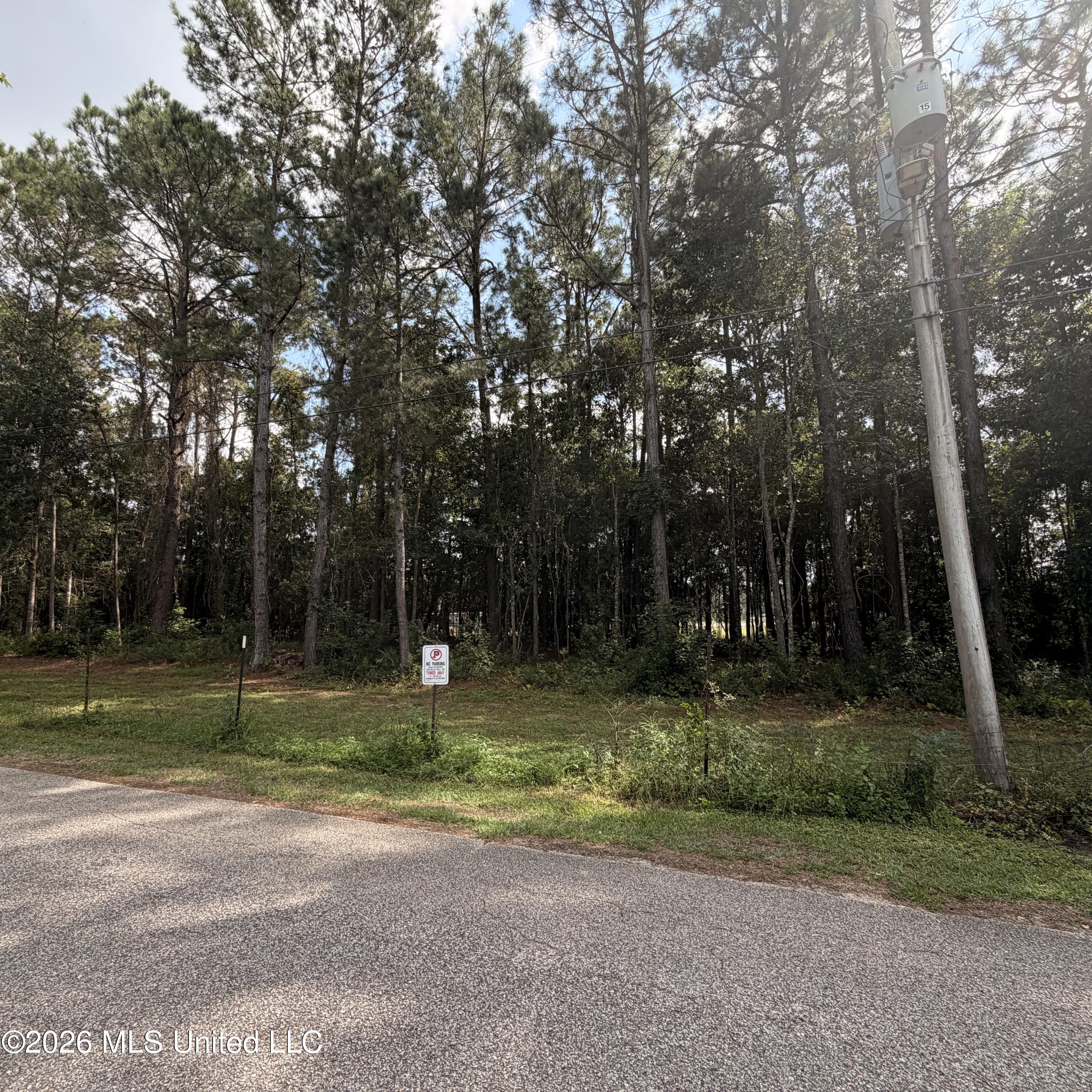 0 Pierce Road Property Photo 1