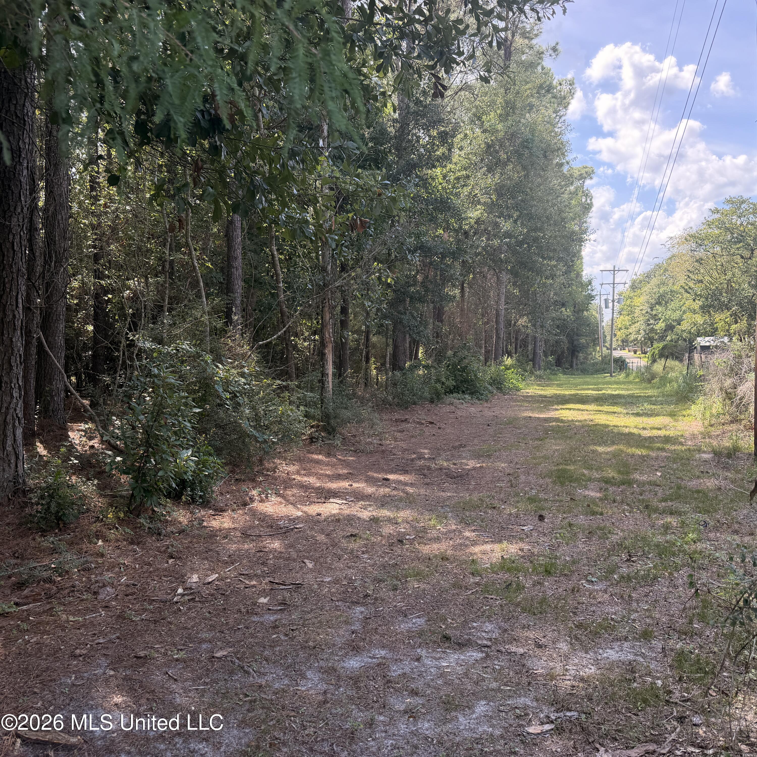 0 Pierce Road Property Photo 2
