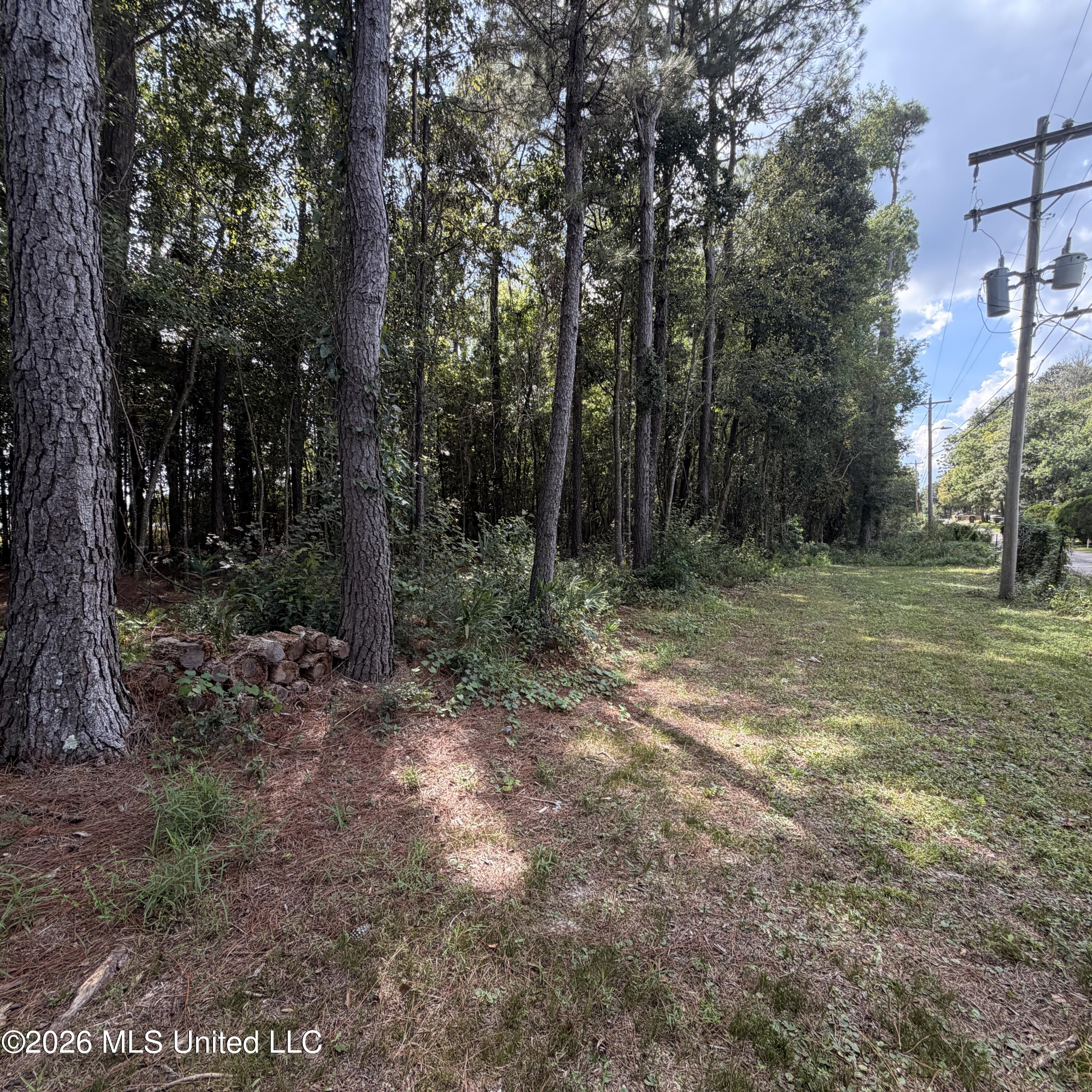 0 Pierce Road Property Photo 4
