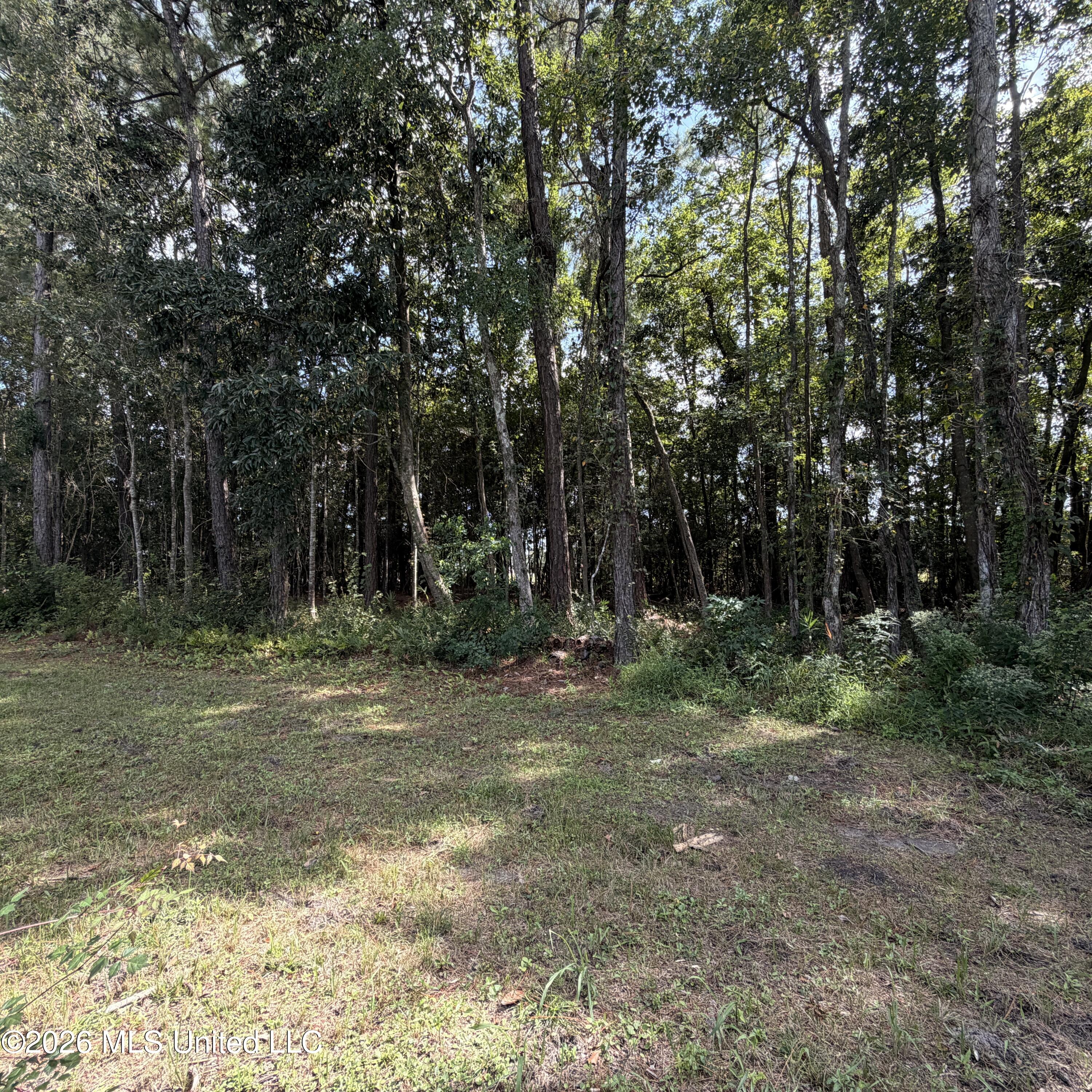 0 Pierce Road Property Photo 5