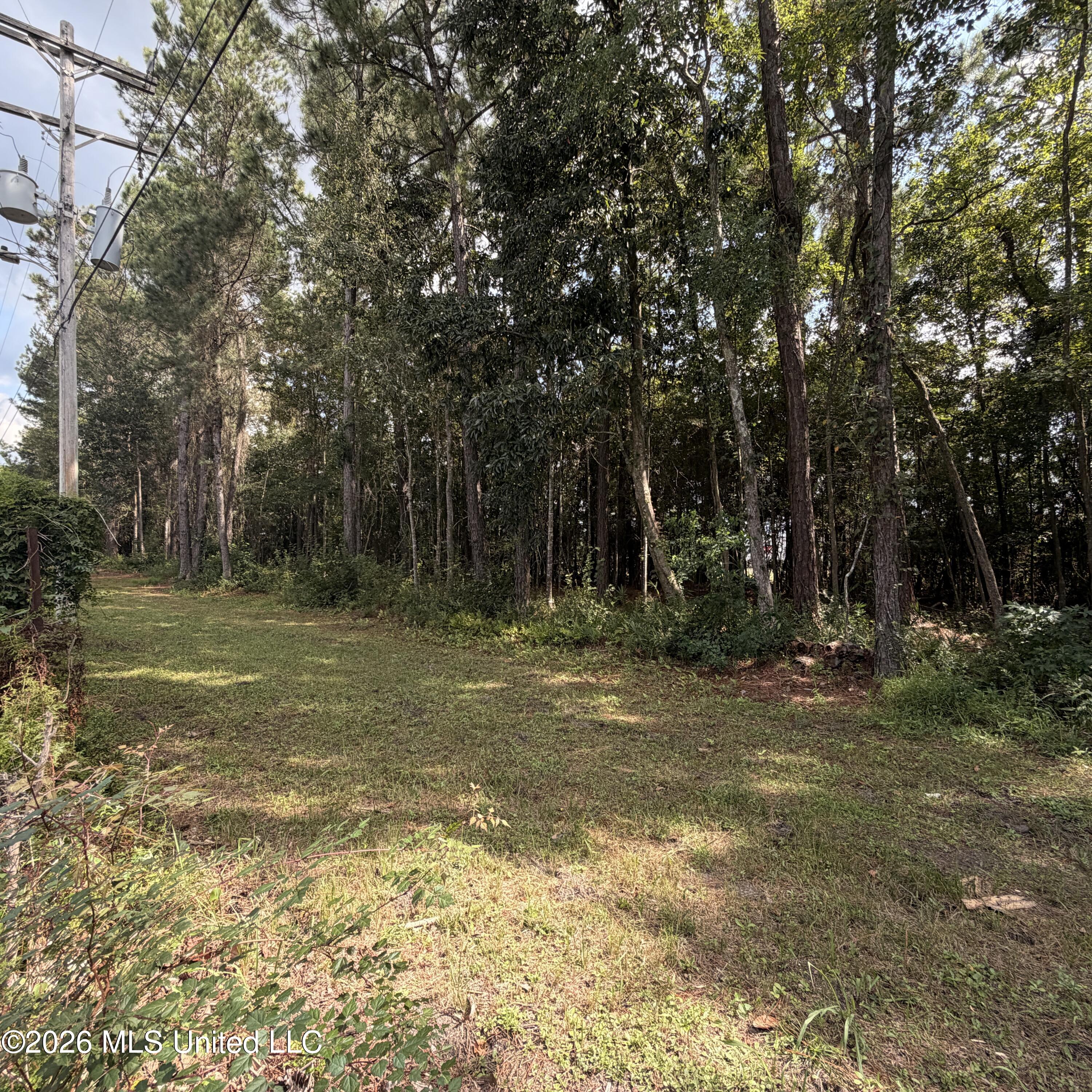 0 Pierce Road Property Photo 6