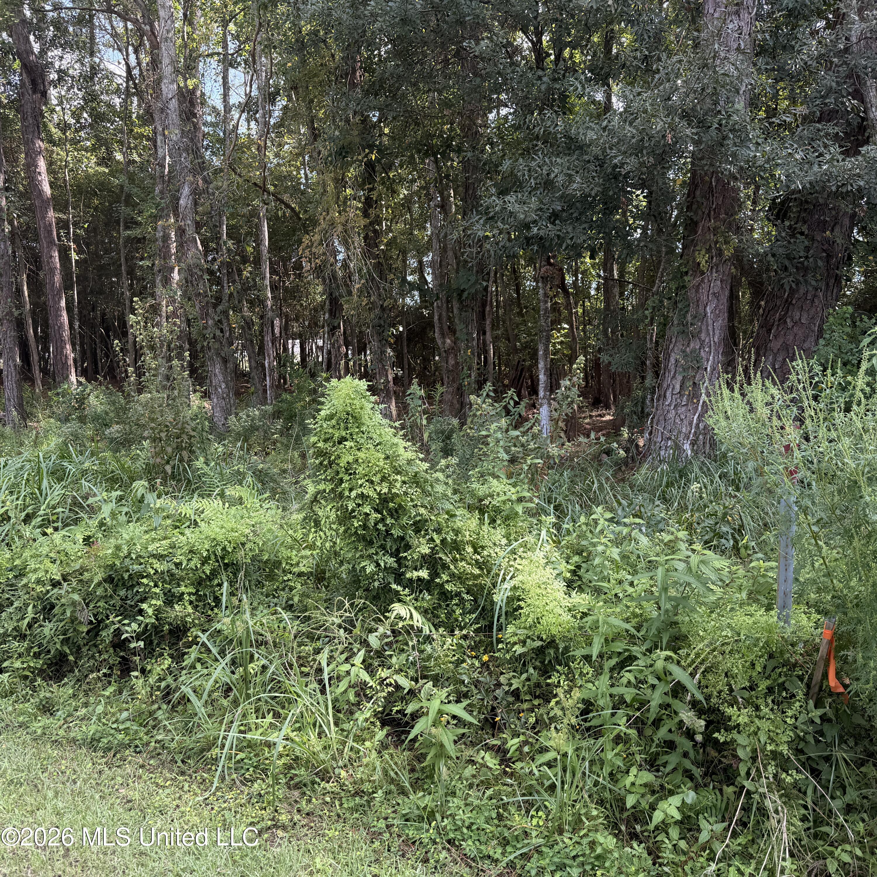 0 Pierce Road Property Photo 8