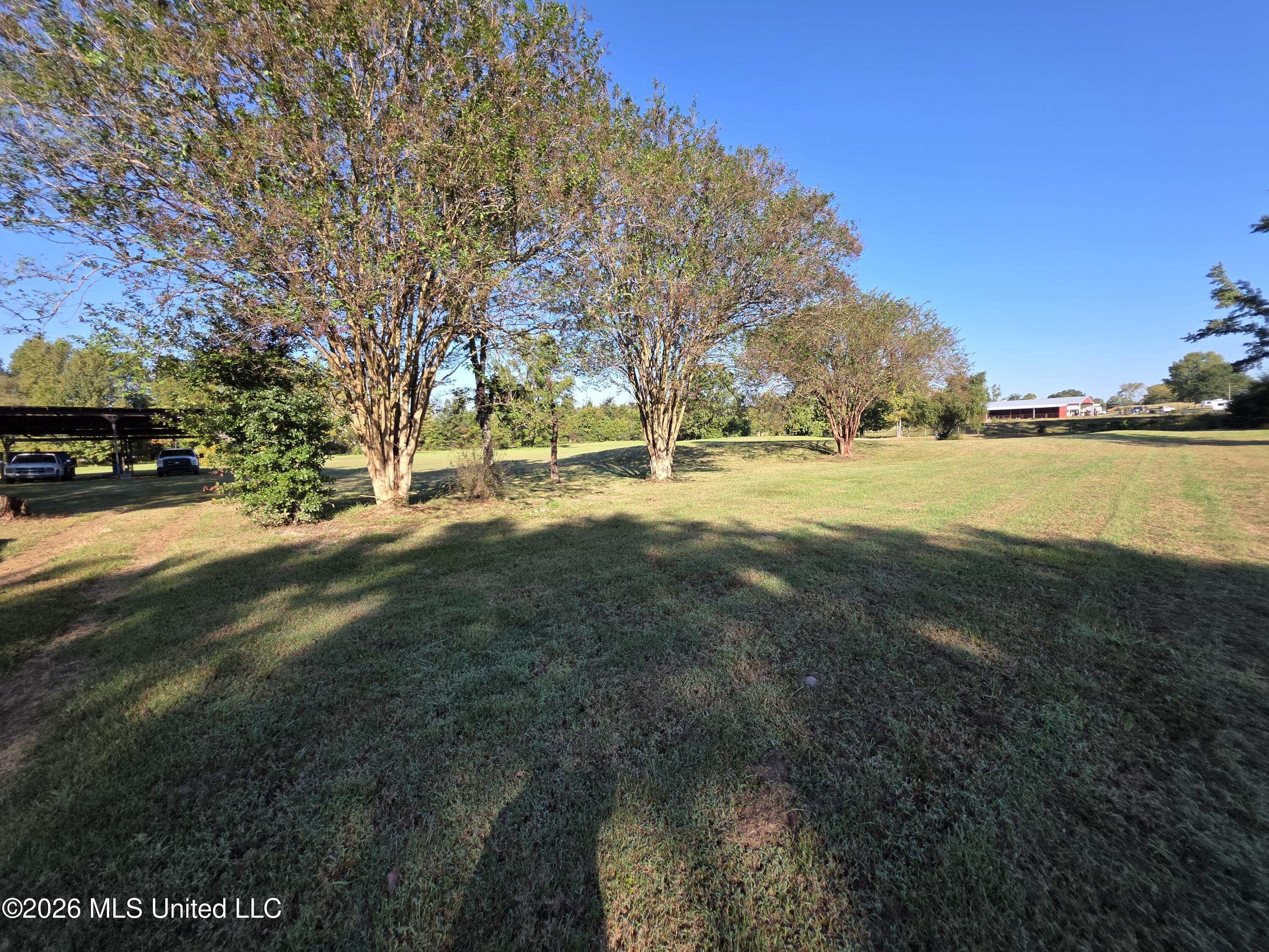 1051 Silverhills Drive Property Photo 33