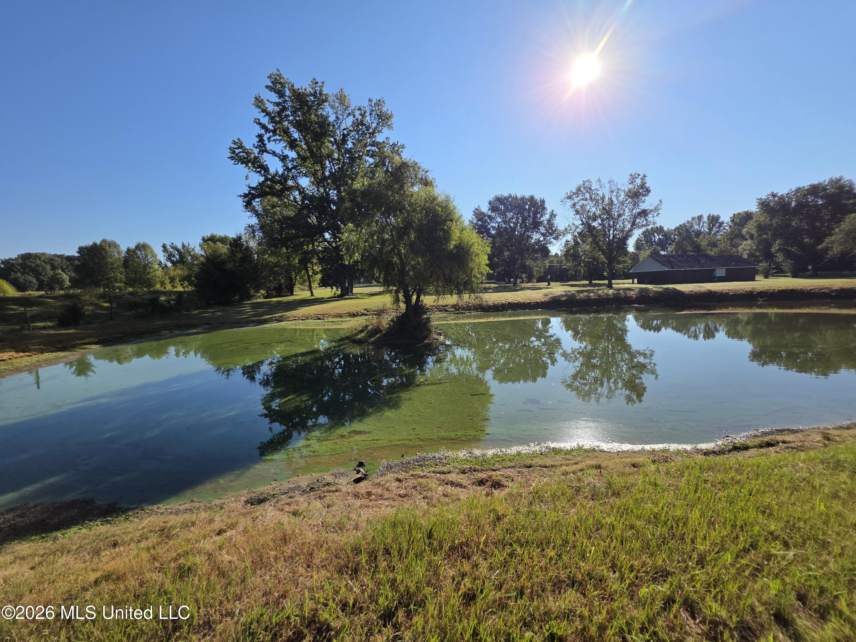 1051 Silverhills Drive Property Photo 36