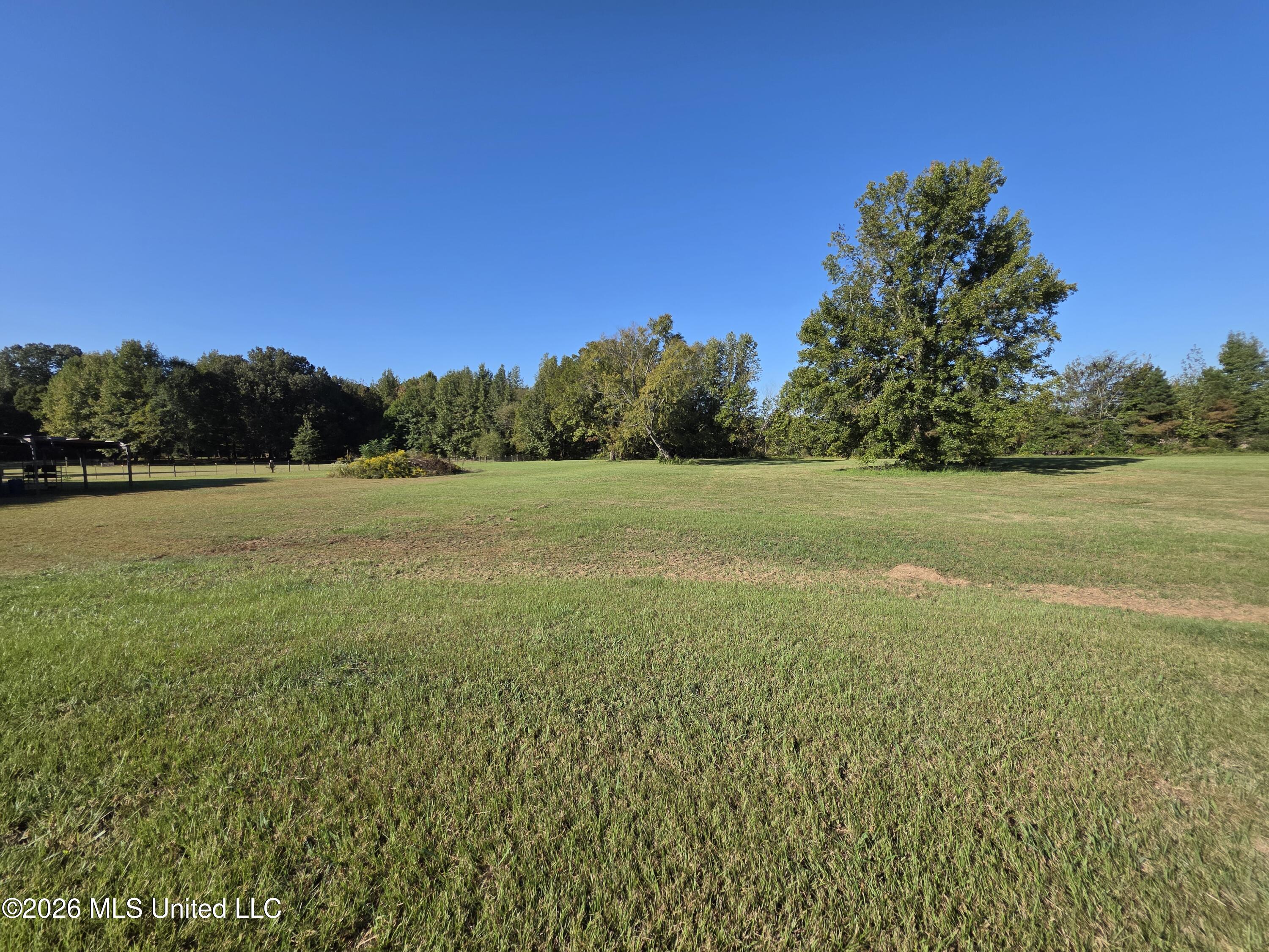 1051 Silverhills Drive Property Photo 40