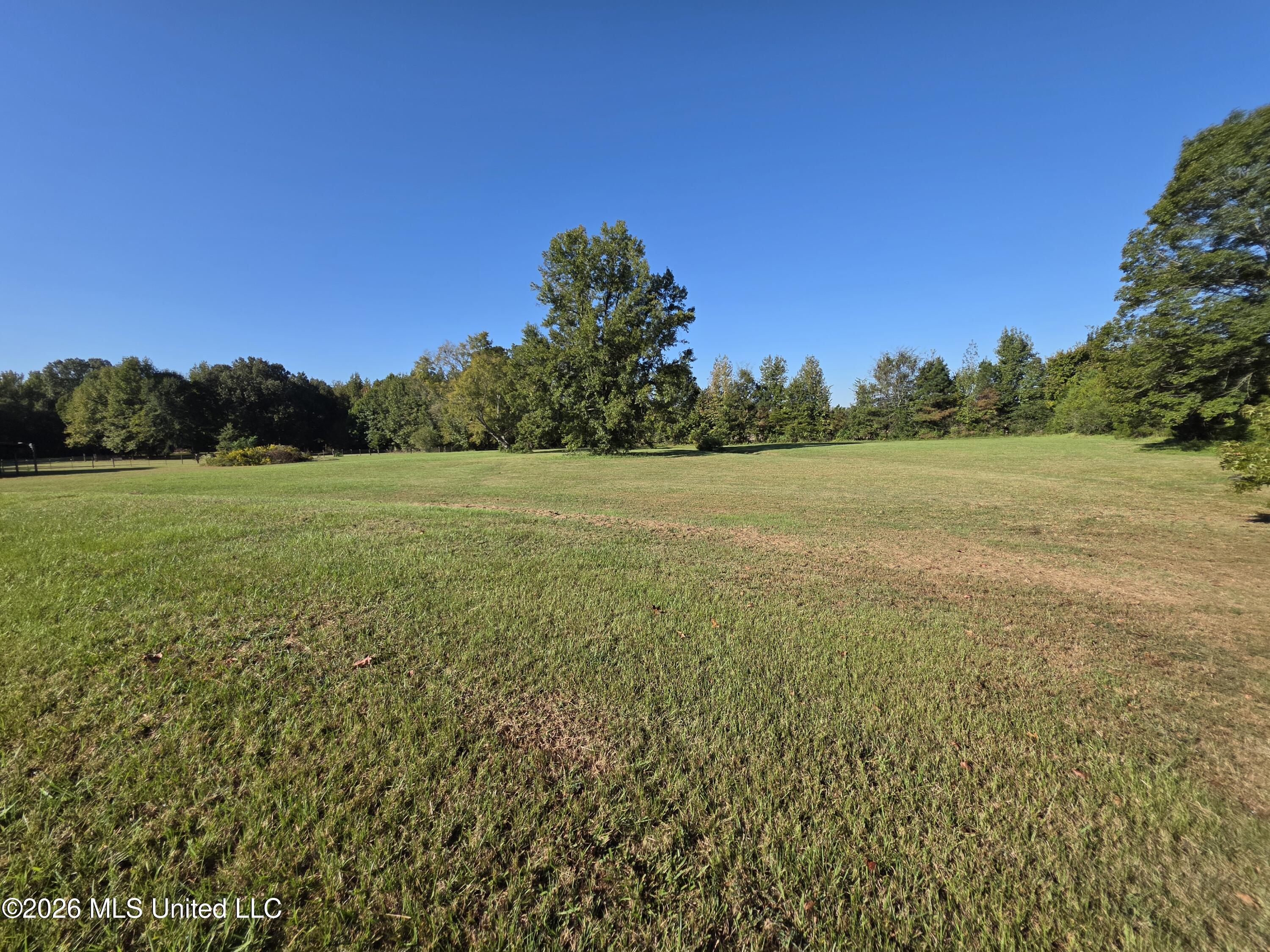 1051 Silverhills Drive Property Photo 41
