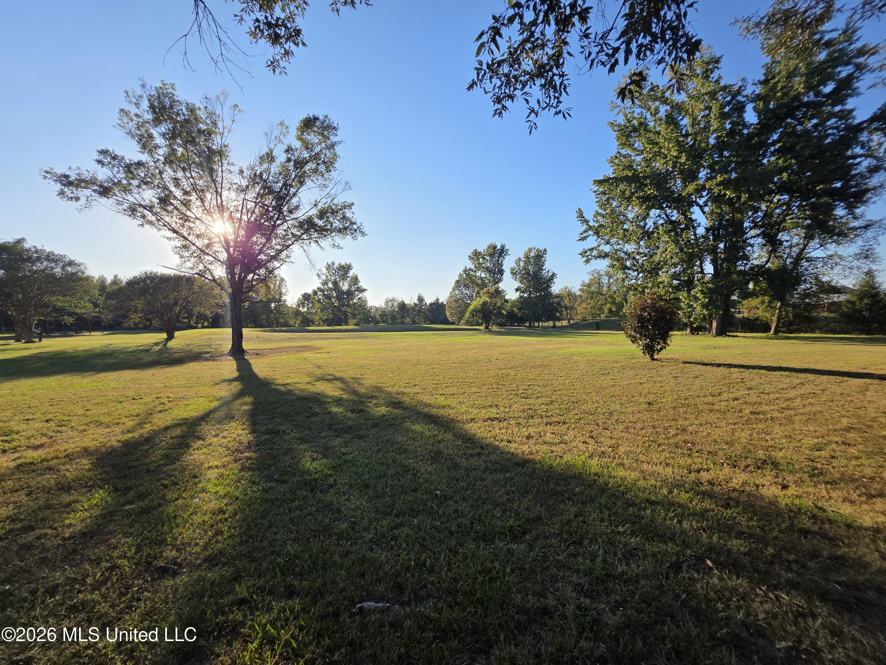 1051 Silverhills Drive Property Photo 42