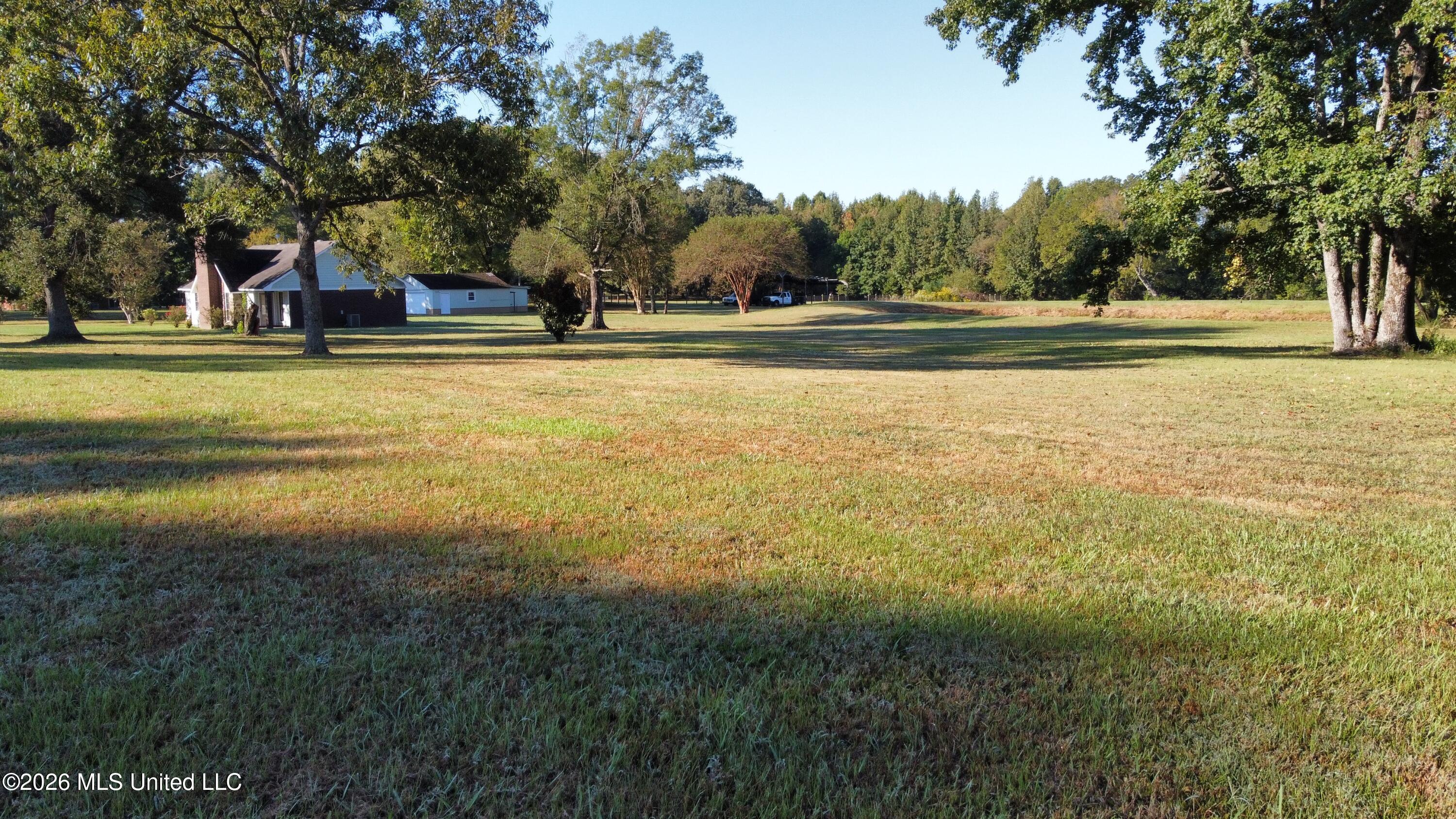 1051 Silverhills Drive Property Photo 44