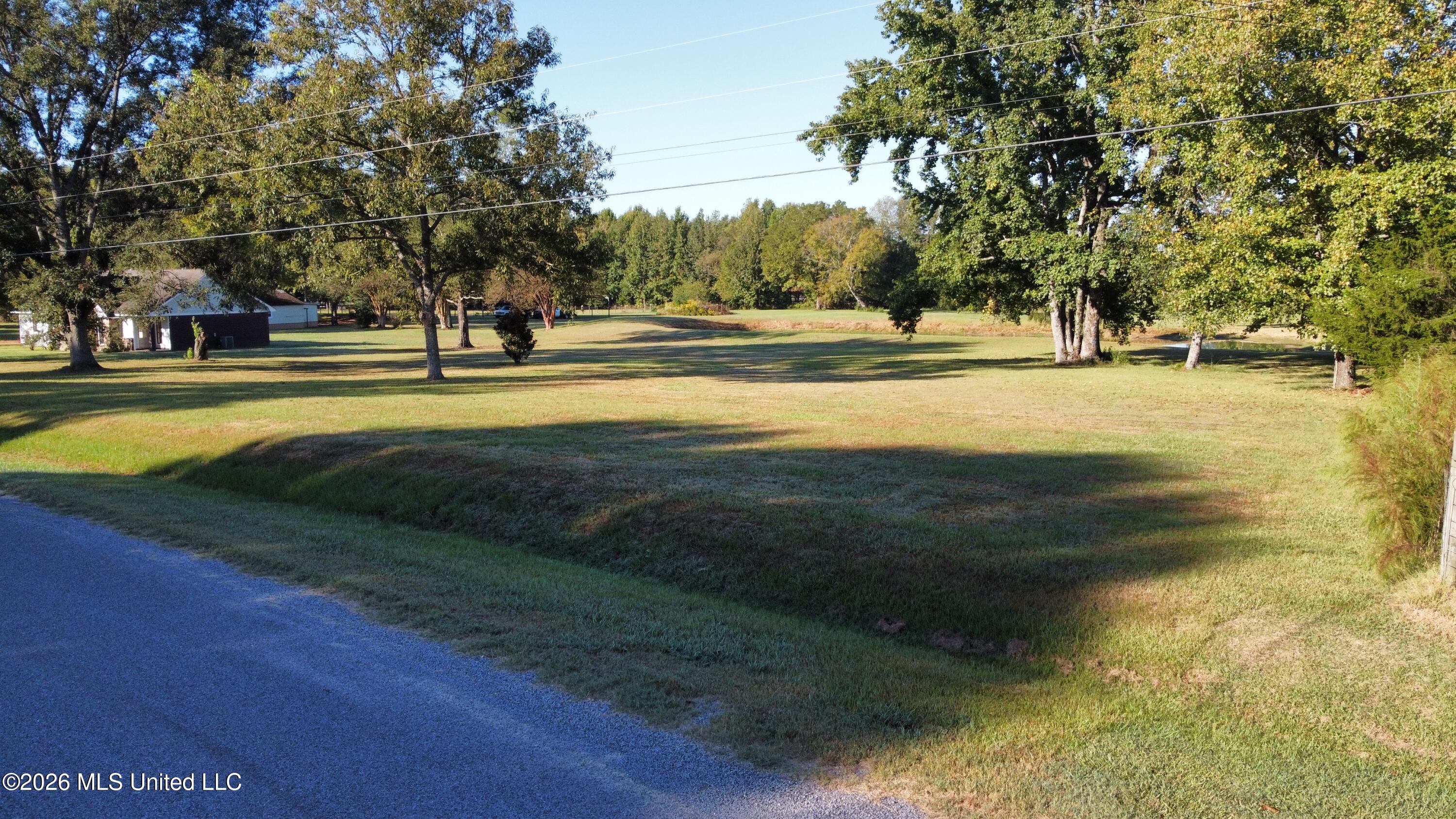 1051 Silverhills Drive Property Photo 45