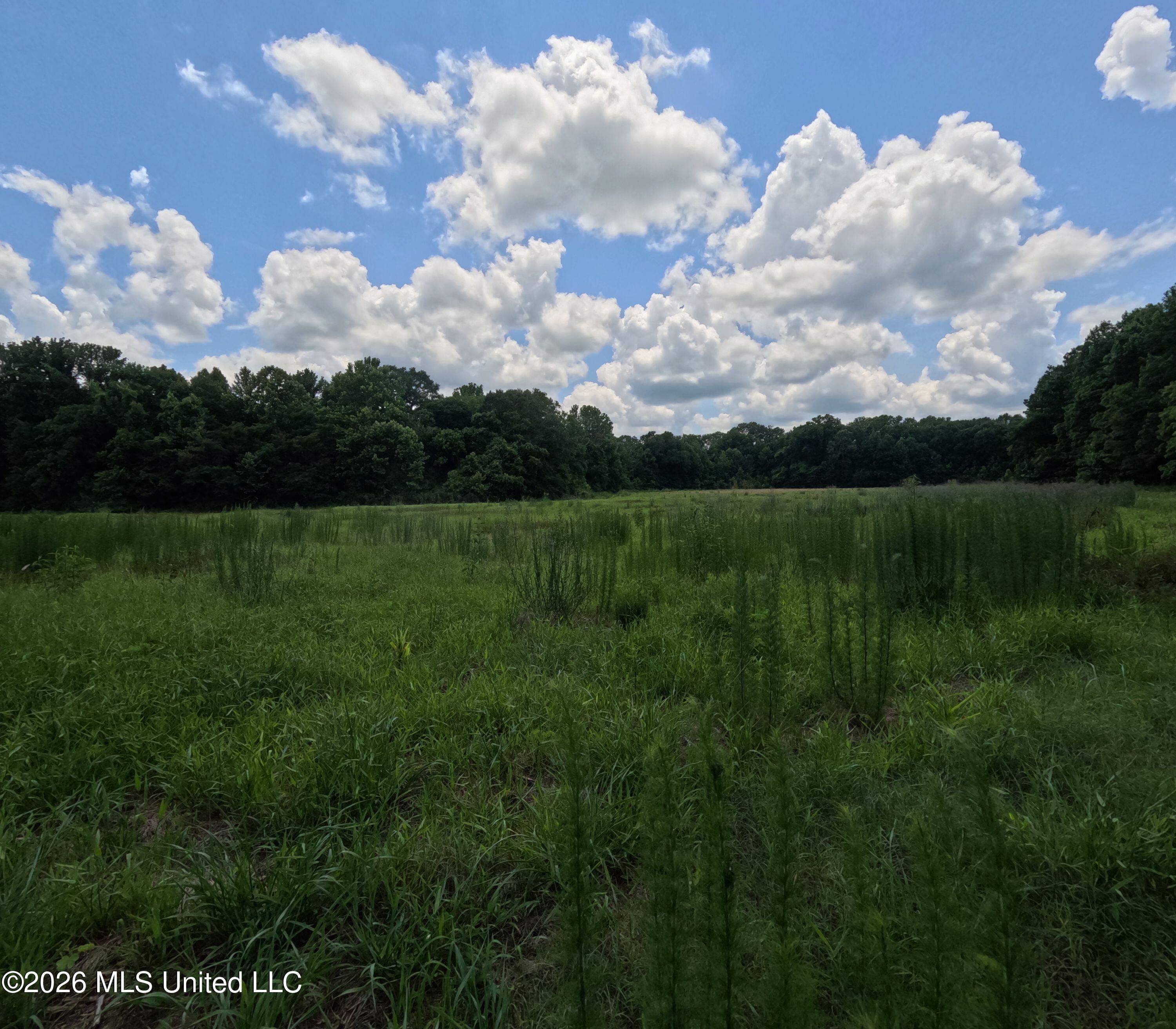 Old Port Gibson Road Property Photo 4