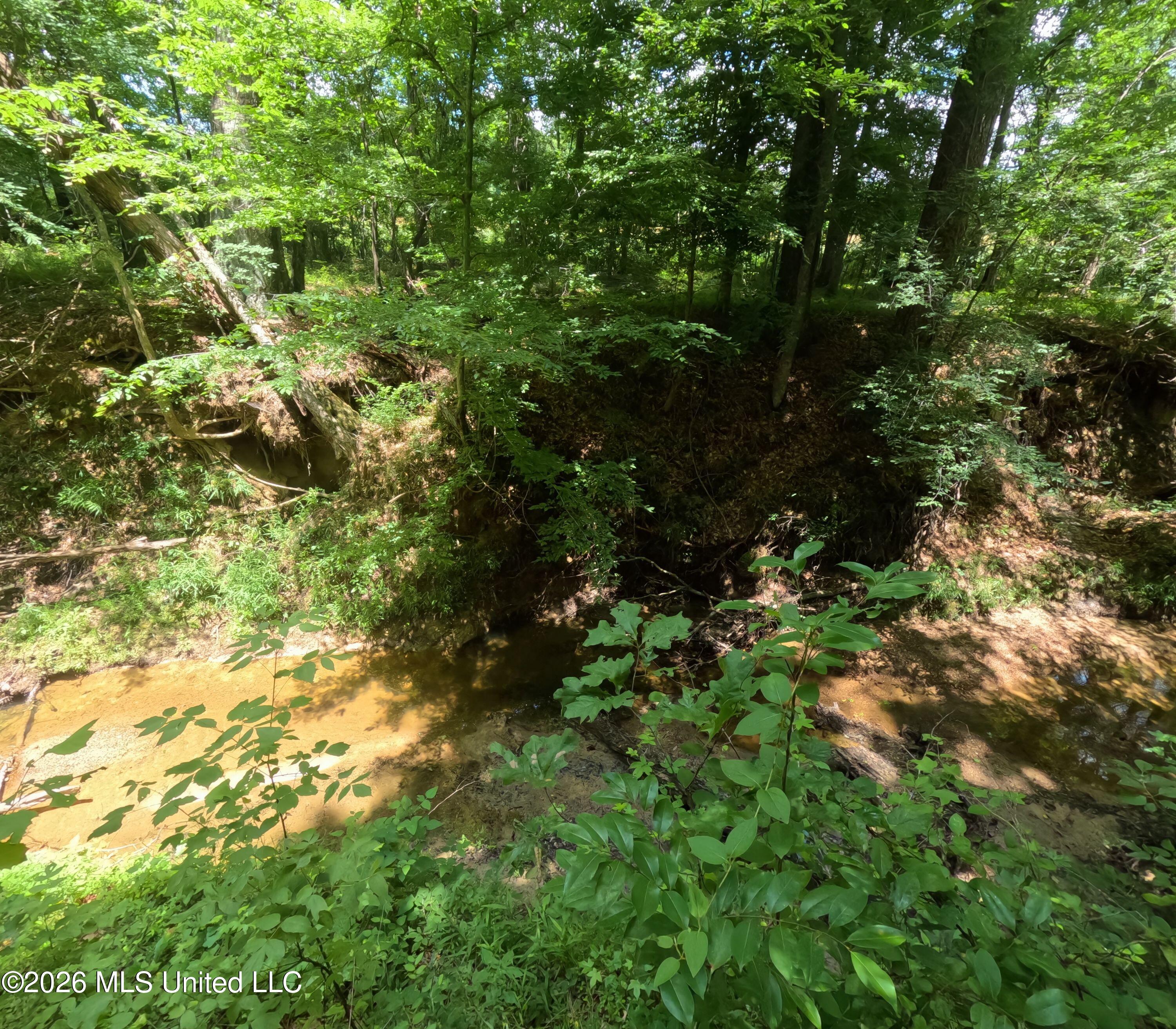Old Port Gibson Road Property Photo 6