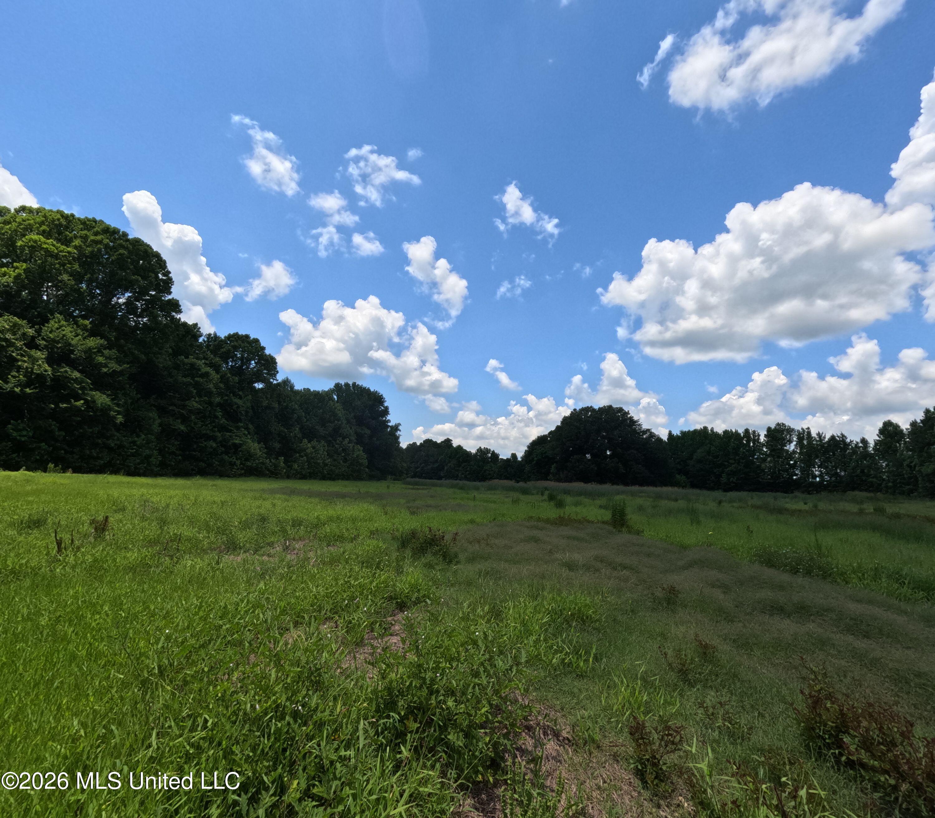 Old Port Gibson Road Property Photo 7