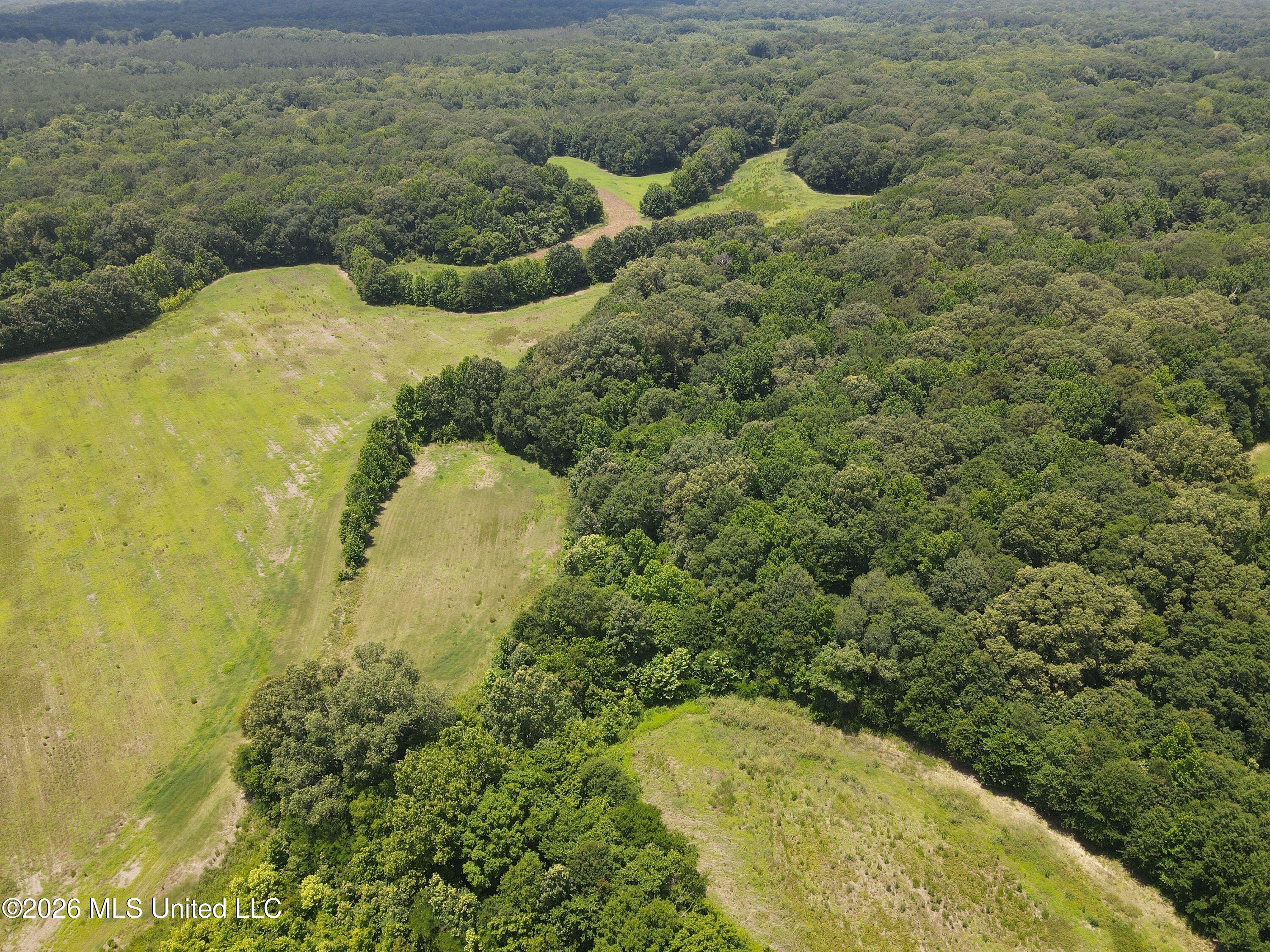 Old Port Gibson Road Property Photo 8