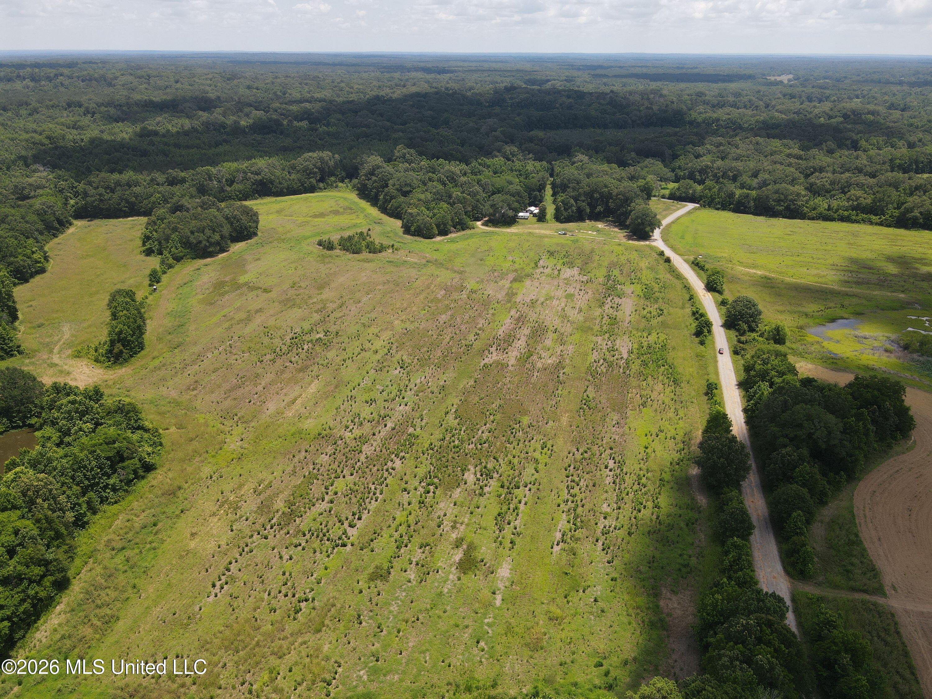 Old Port Gibson Road Property Photo 9