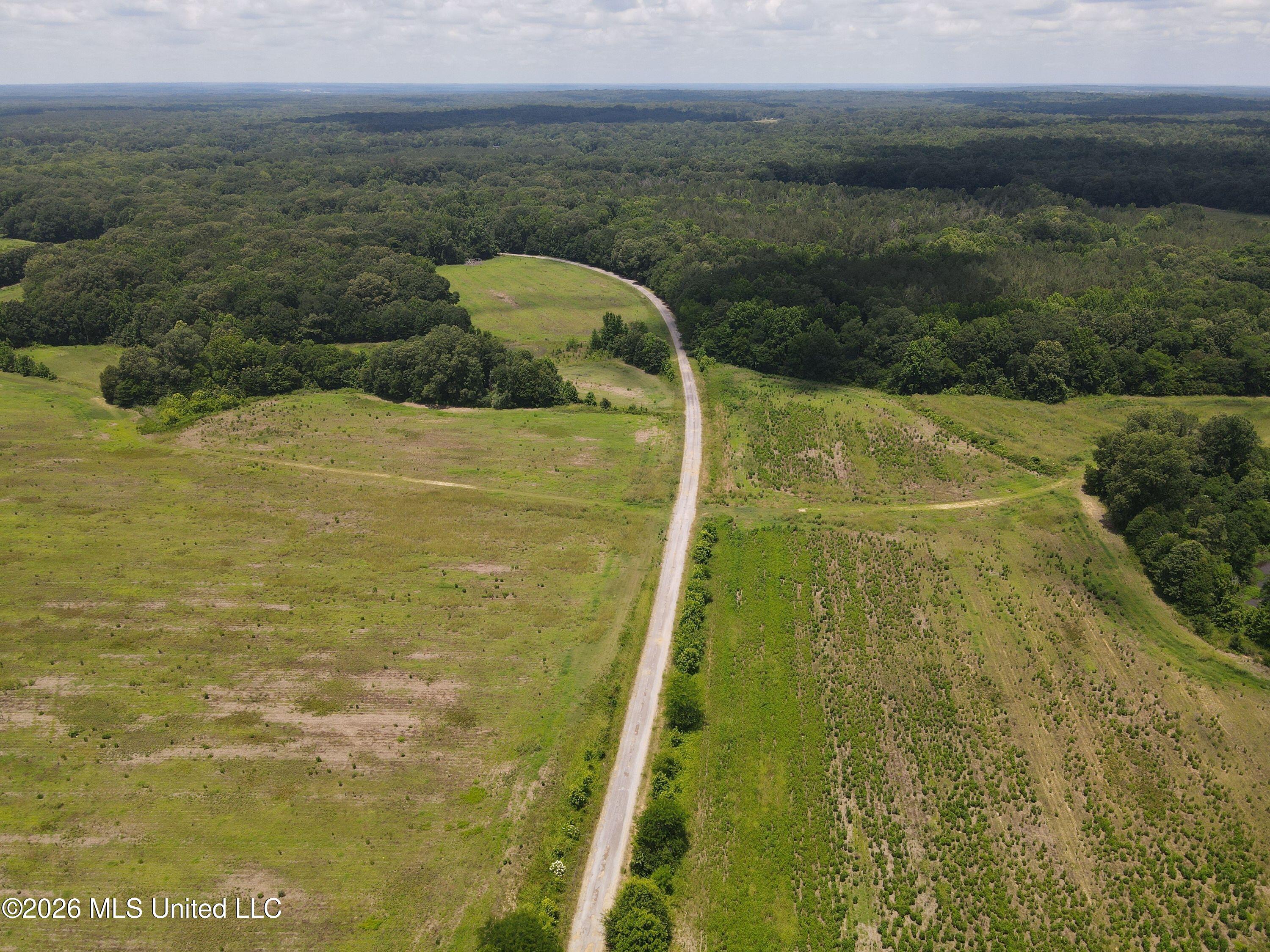 Old Port Gibson Road Property Photo 14