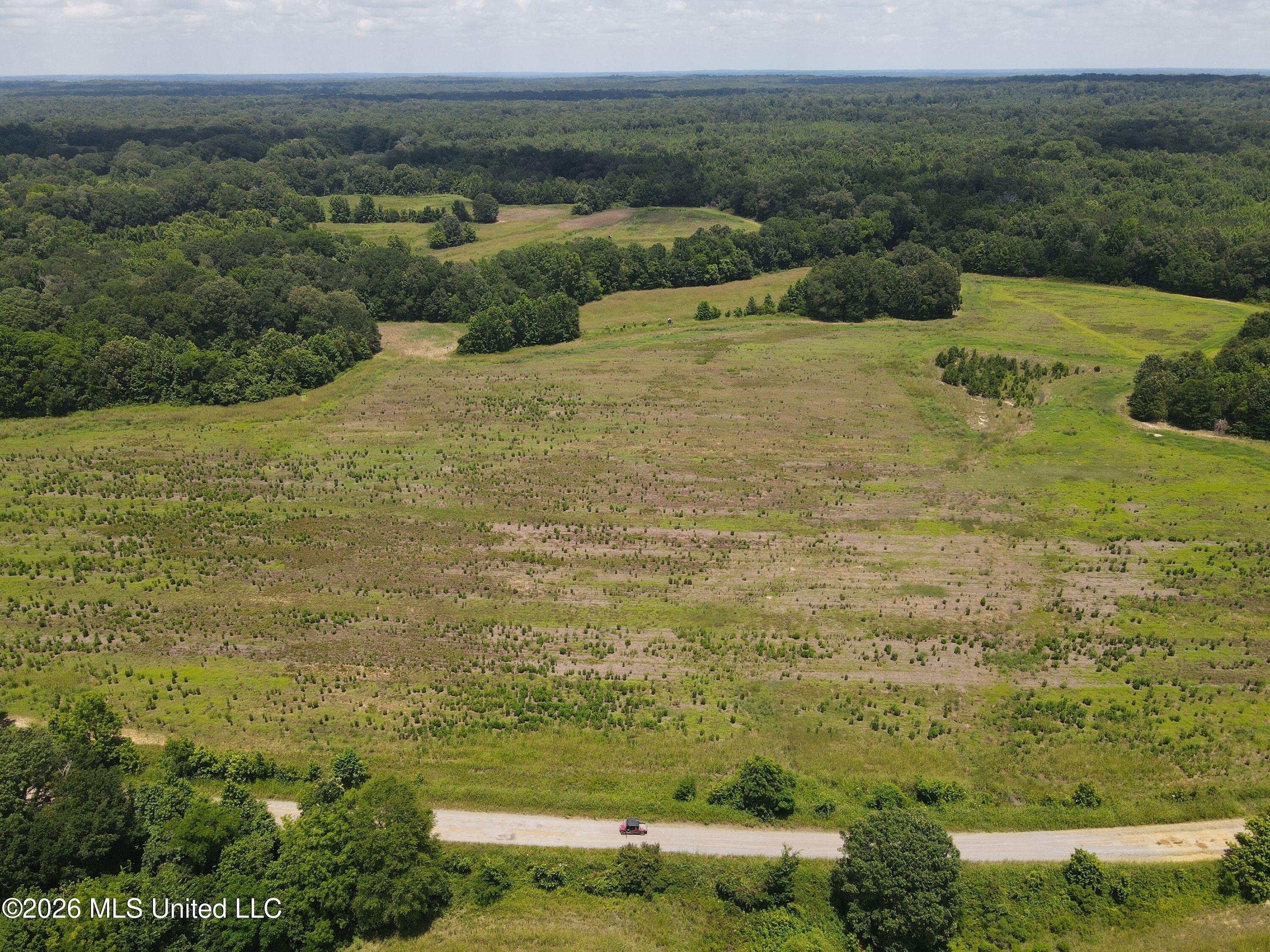 Old Port Gibson Road Property Photo 15