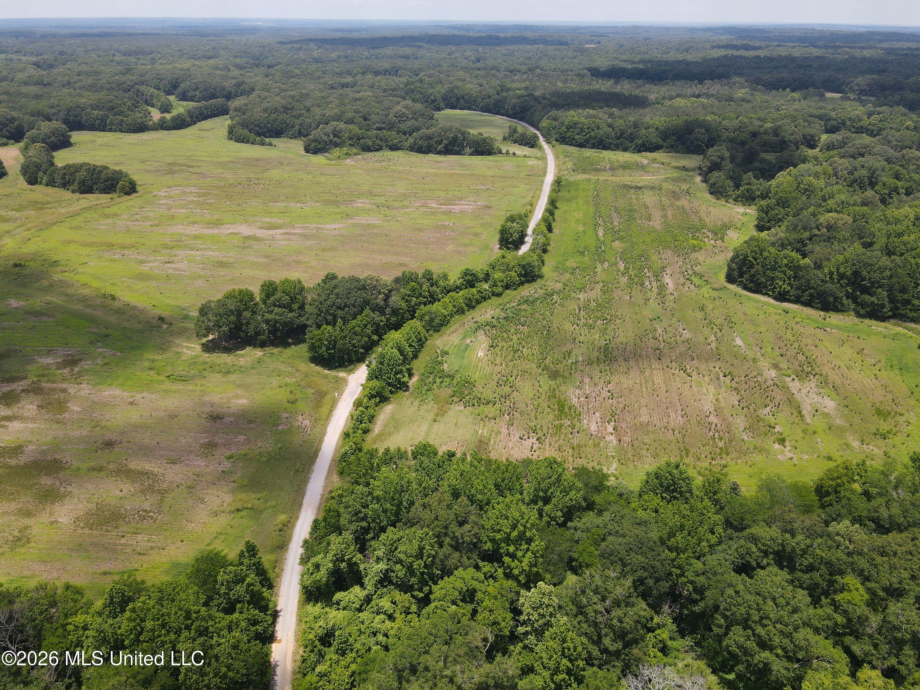 Old Port Gibson Road Property Photo 17