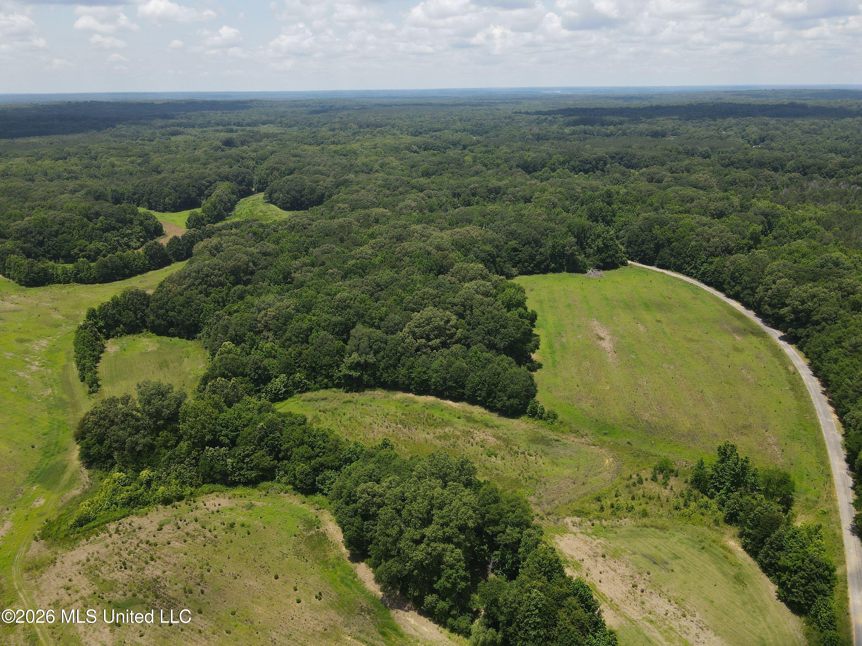 Old Port Gibson Road Property Photo 19