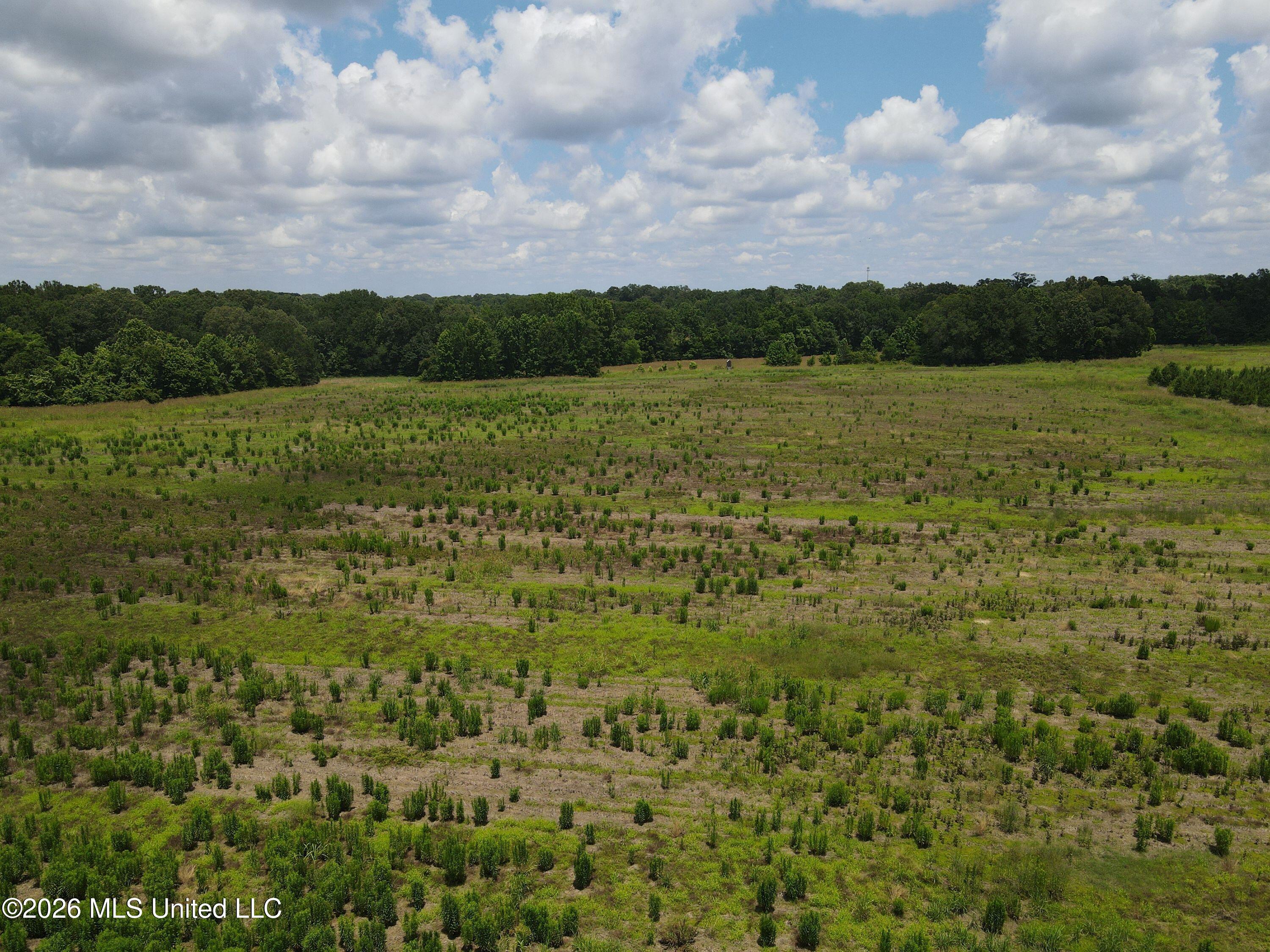 Old Port Gibson Road Property Photo 20