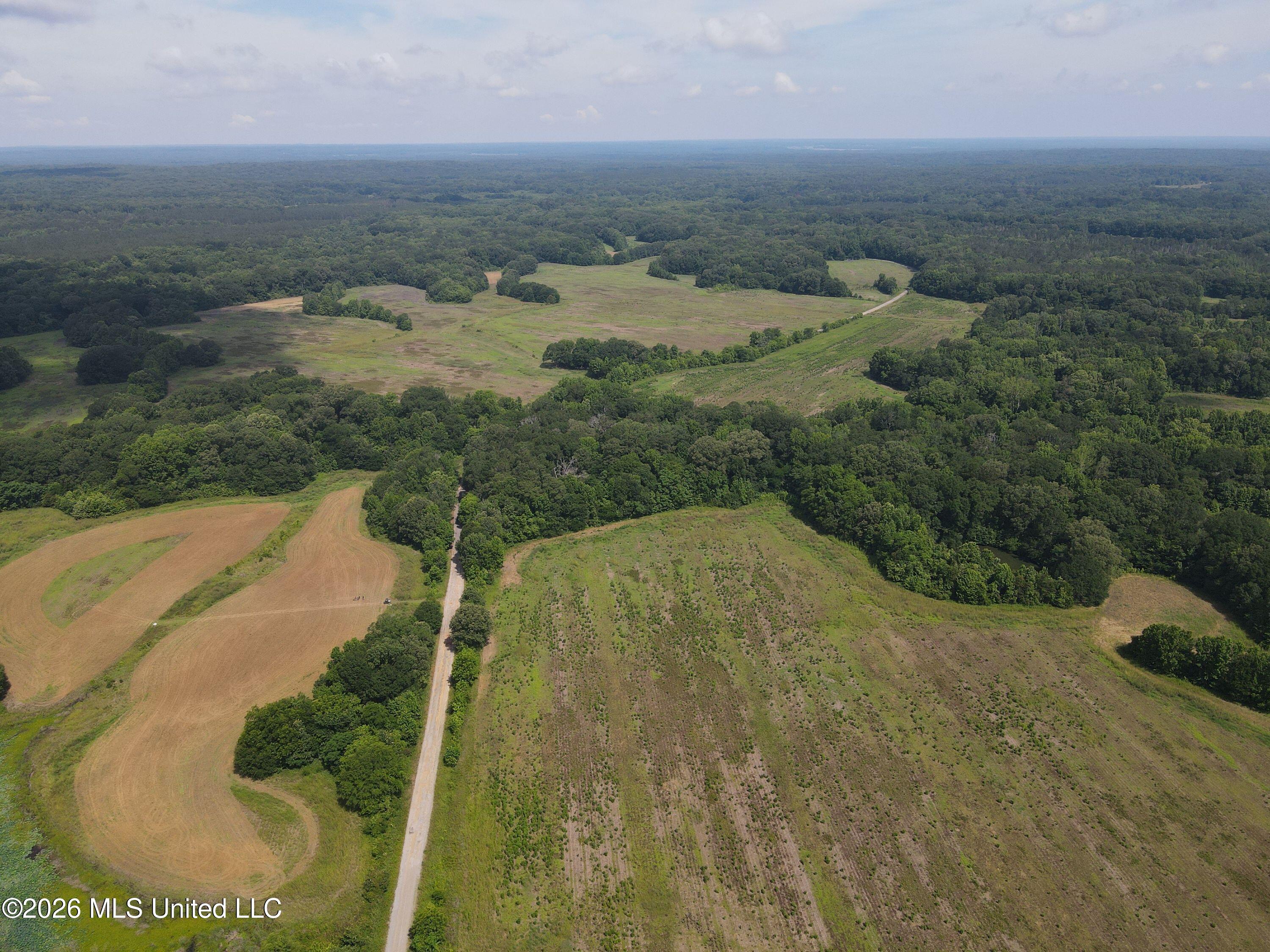Old Port Gibson Road Property Photo 21