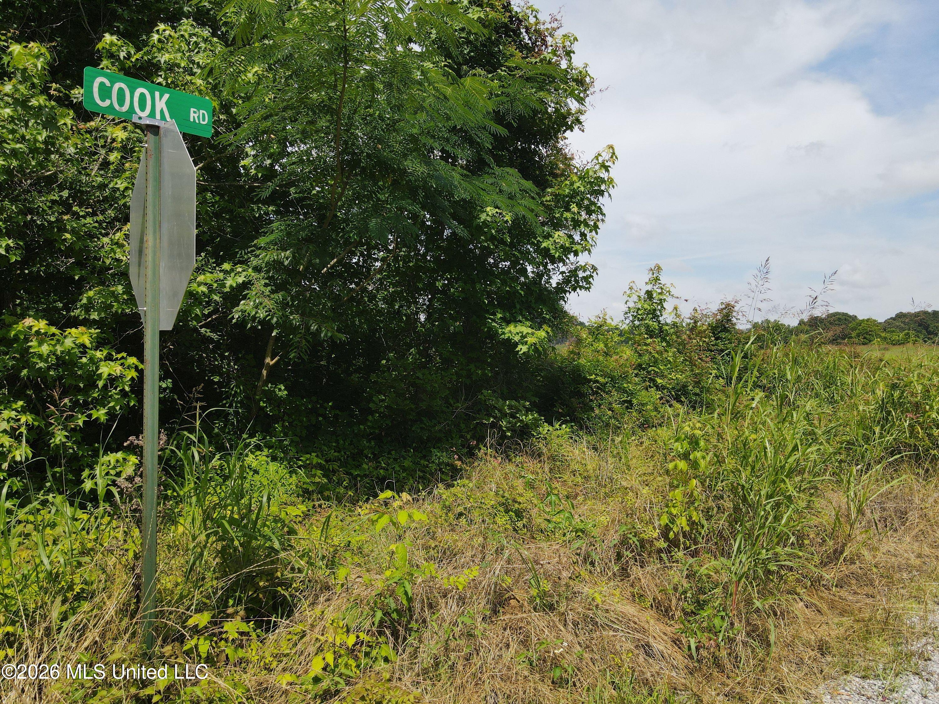 Old Port Gibson Road Property Photo 23