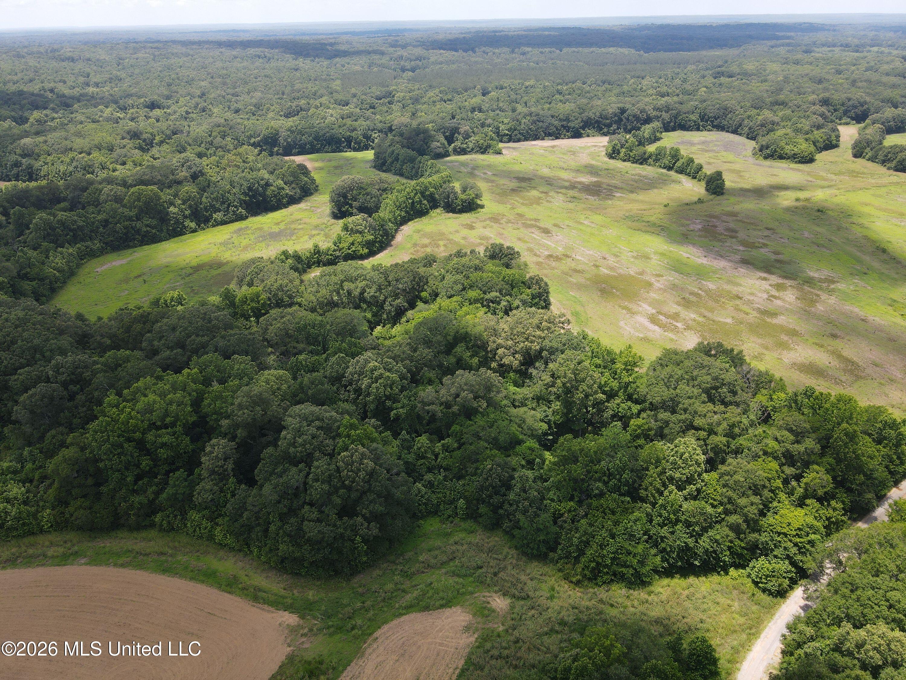 Old Port Gibson Road Property Photo 24