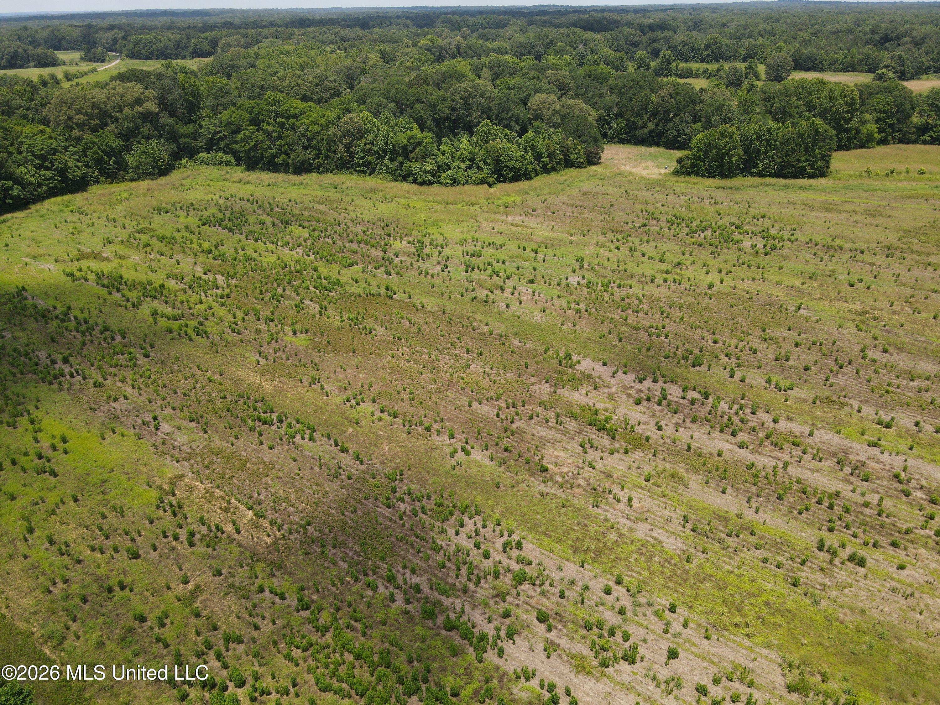 Old Port Gibson Road Property Photo 27