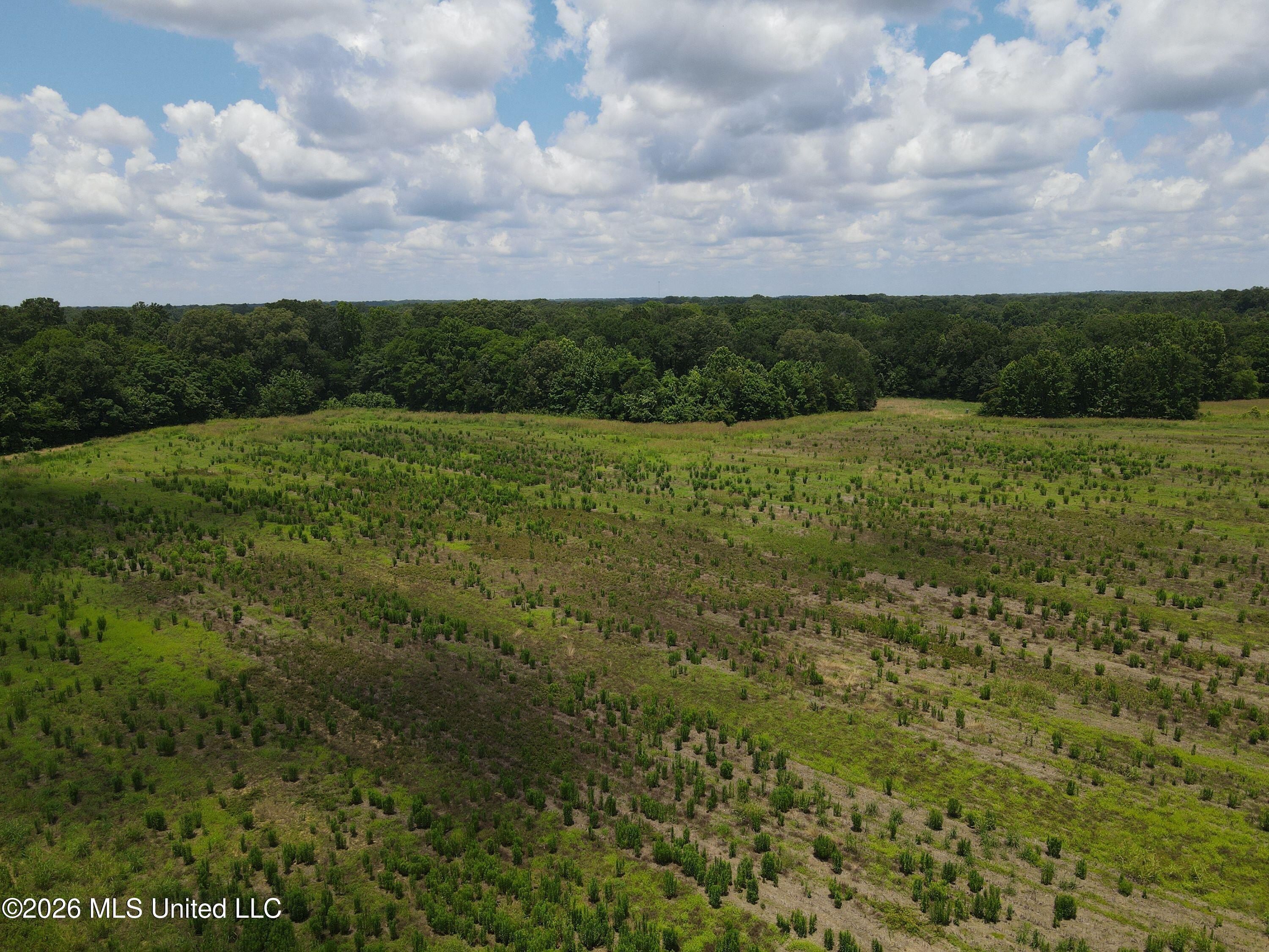 Old Port Gibson Road Property Photo 29