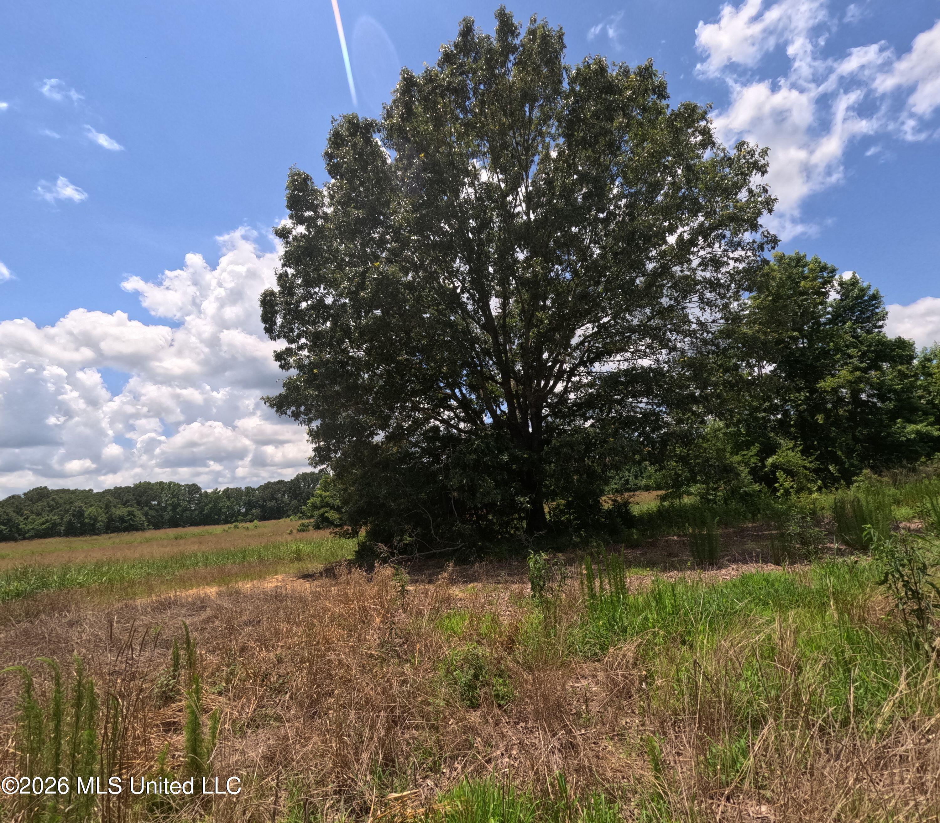 Old Port Gibson Road Property Photo 32
