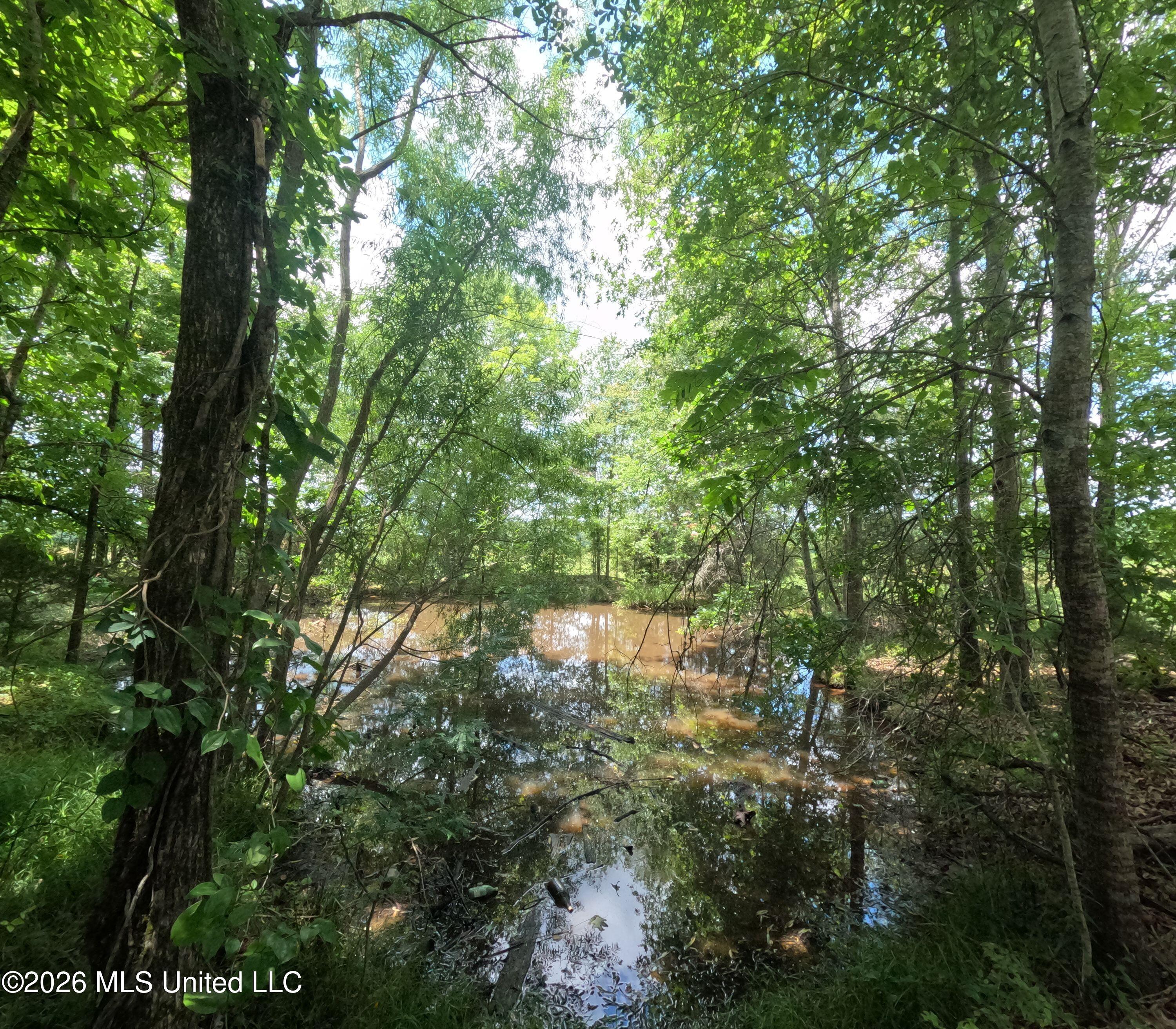 Old Port Gibson Road Property Photo 34