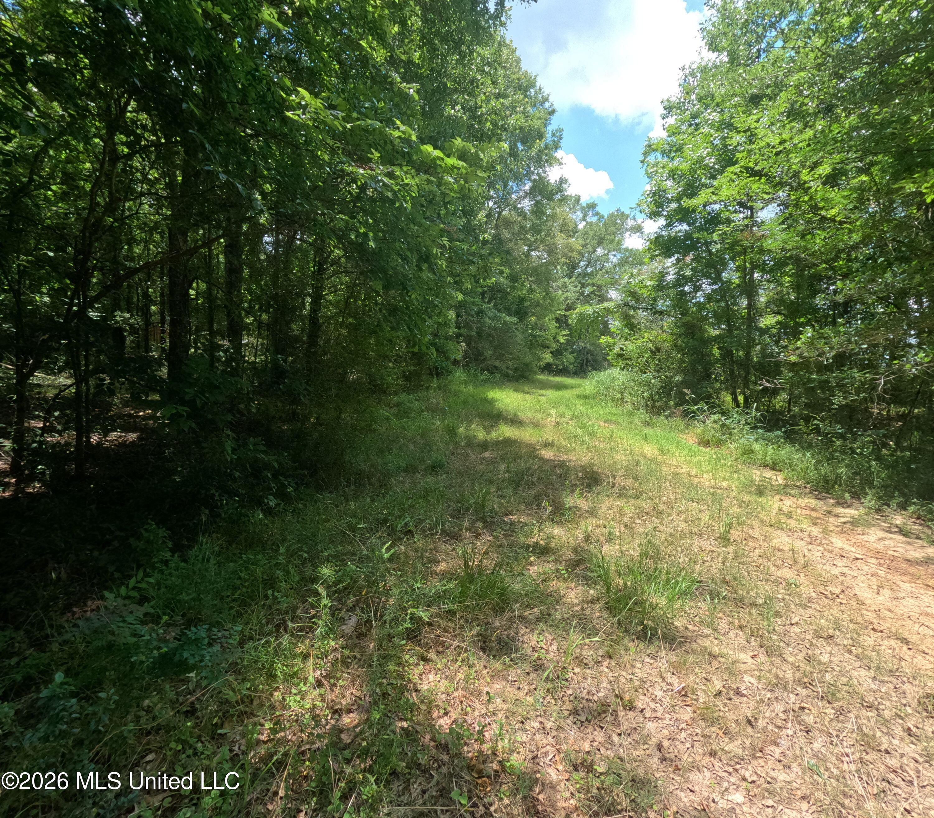Old Port Gibson Road Property Photo 35