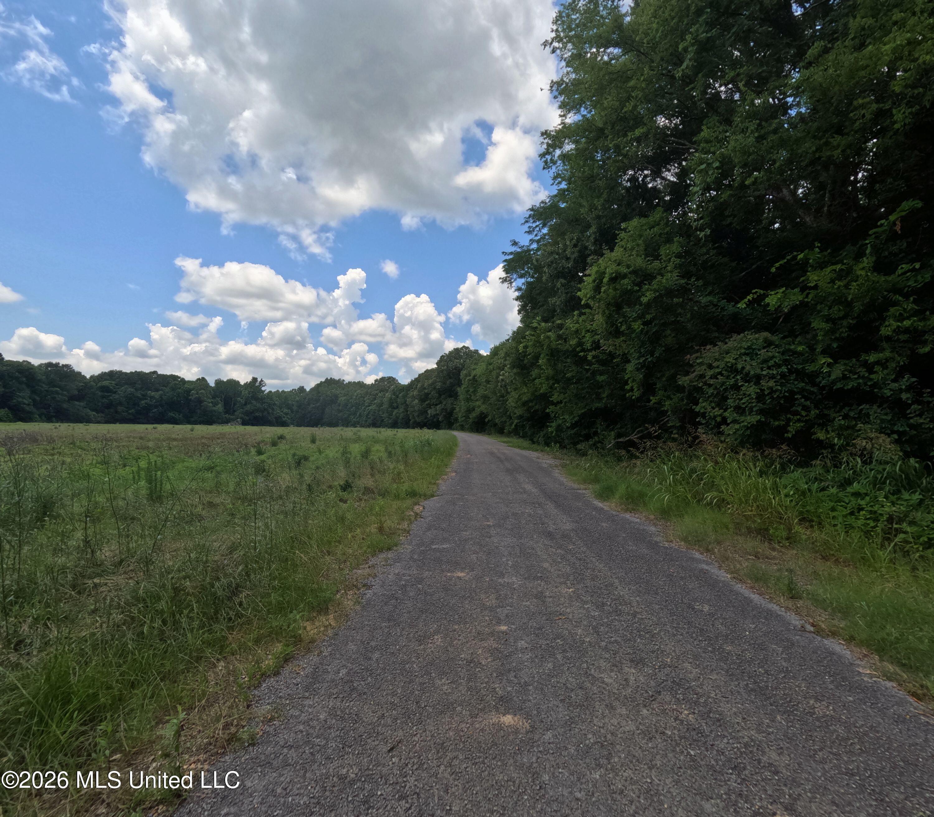 Old Port Gibson Road Property Photo 39