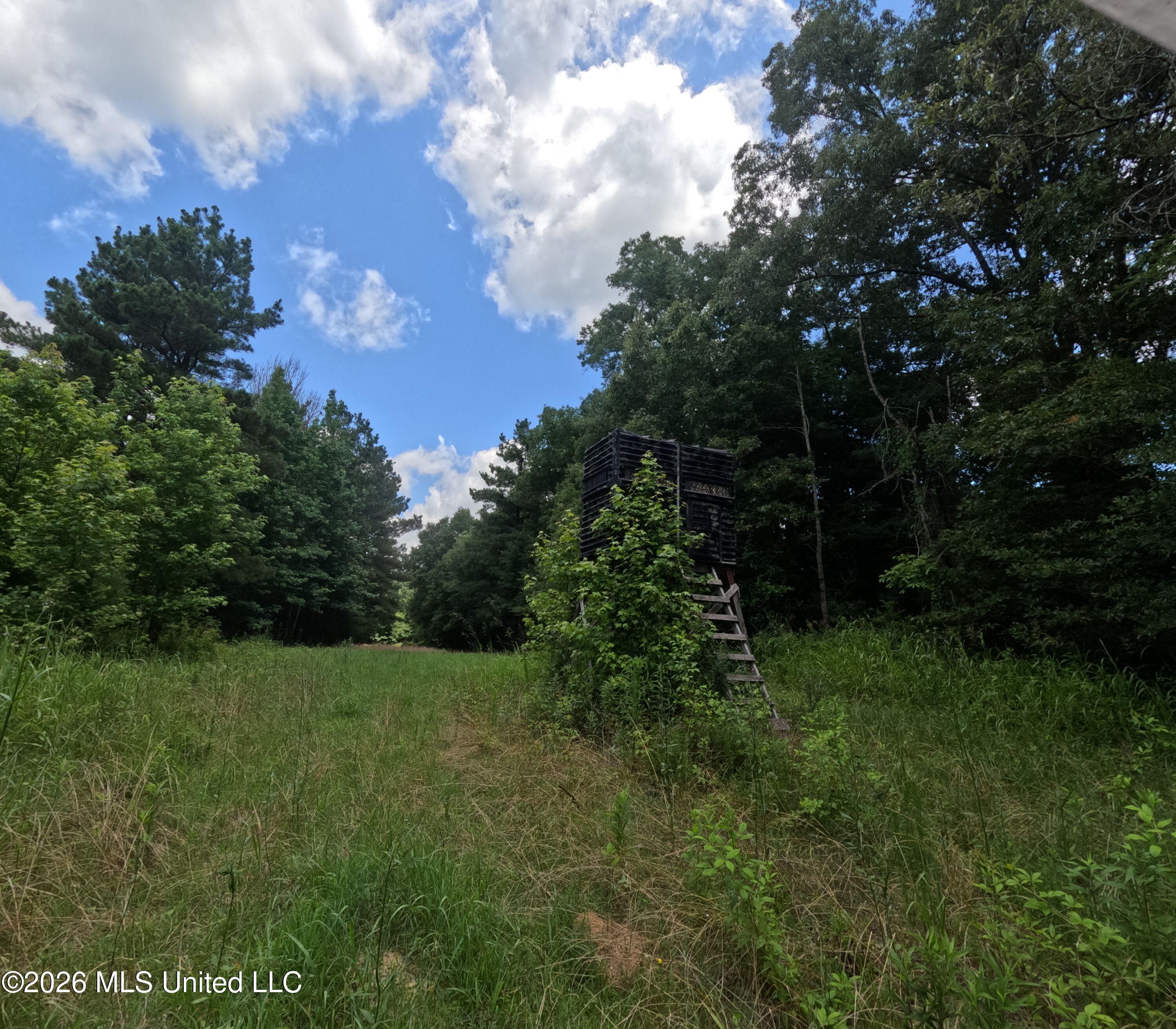 Old Port Gibson Road Property Photo 40