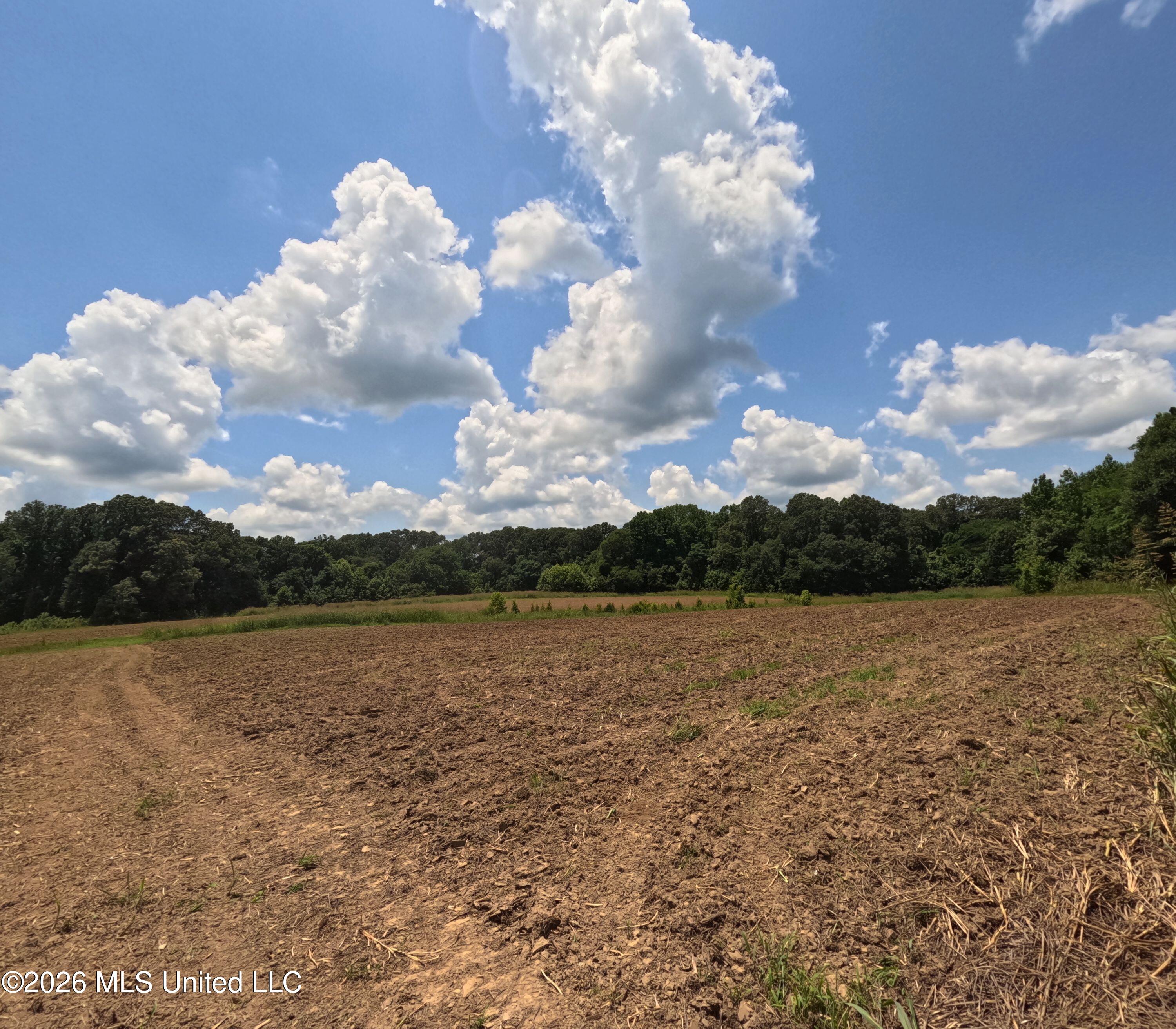 Old Port Gibson Road Property Photo 42
