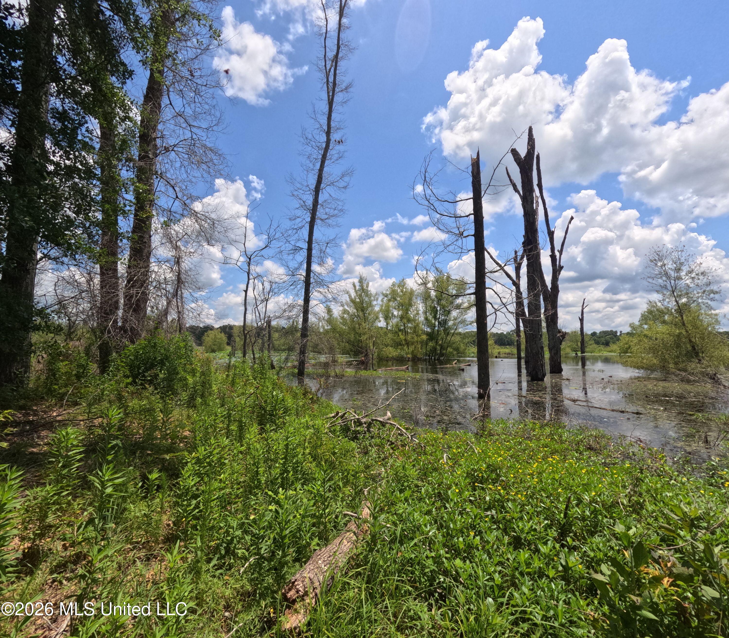 Old Port Gibson Road Property Photo 44