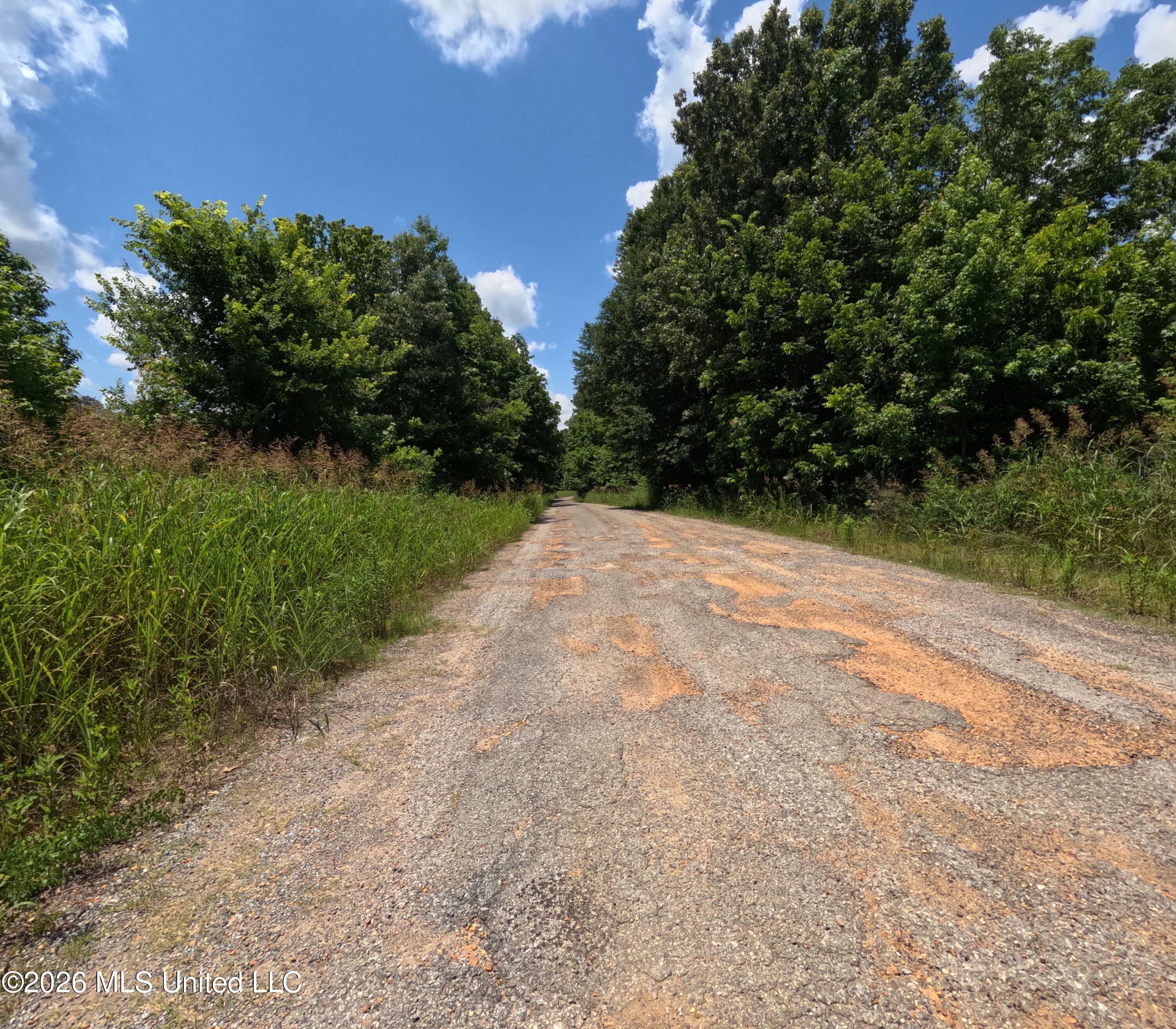 Old Port Gibson Road Property Photo 46