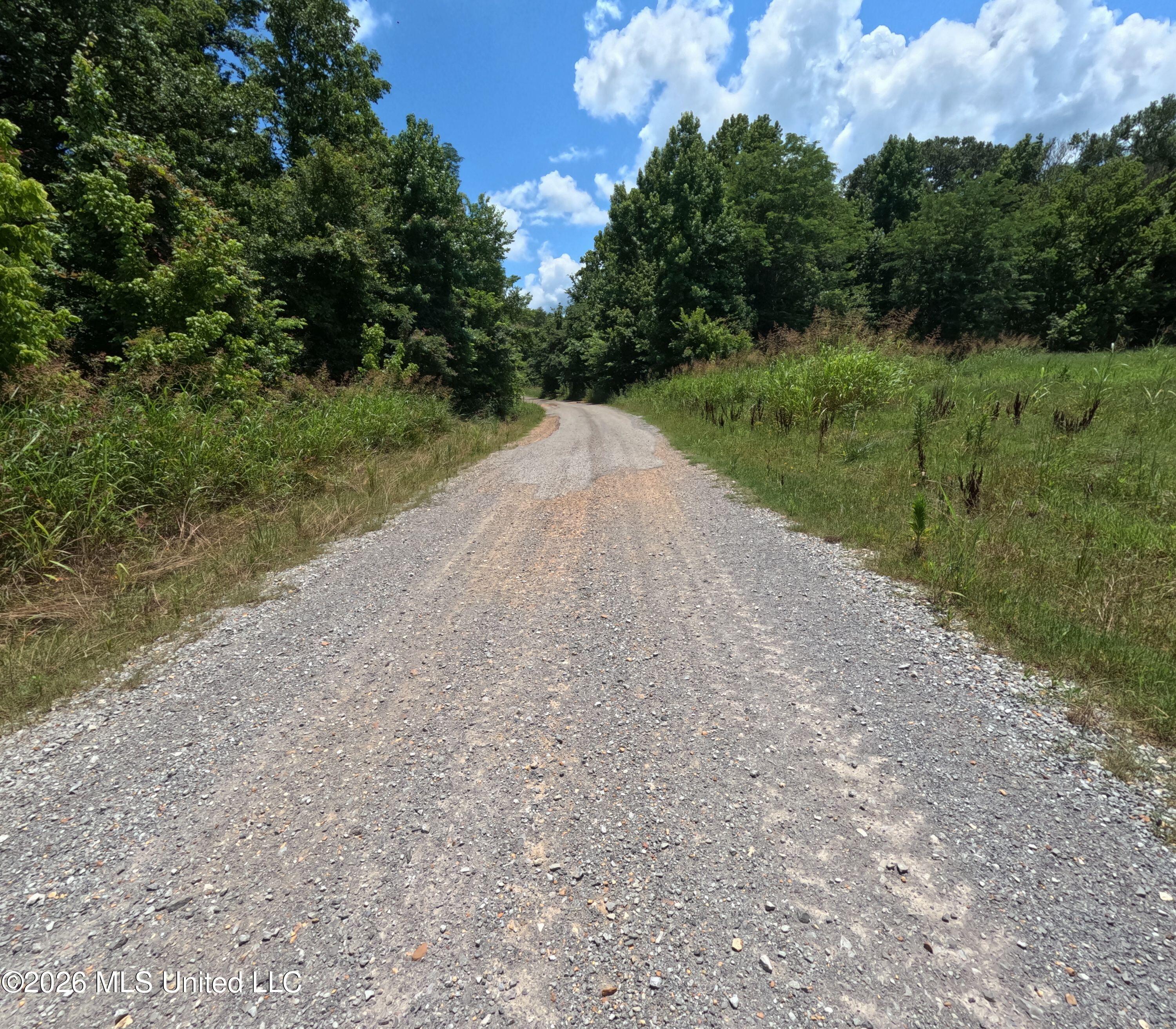 Old Port Gibson Road Property Photo 48