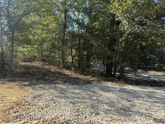 Lot 1 Slocum Road Property Photo 1