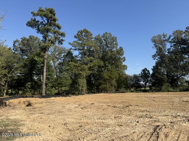 Lot 1 Slocum Road Property Photo 4