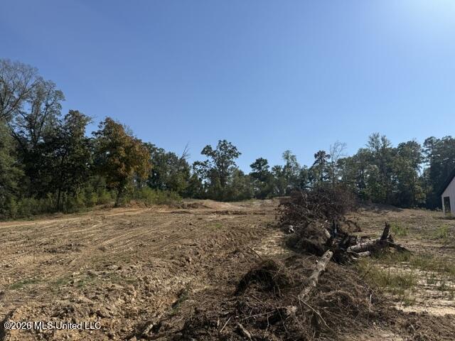 Lot 1 Slocum Road Property Photo 7
