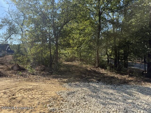 Lot 1 Slocum Road Property Photo 9