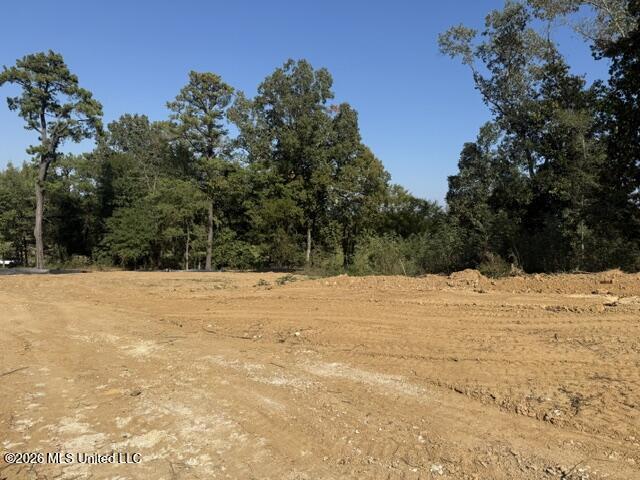 Lot 1 Slocum Road Property Photo 15