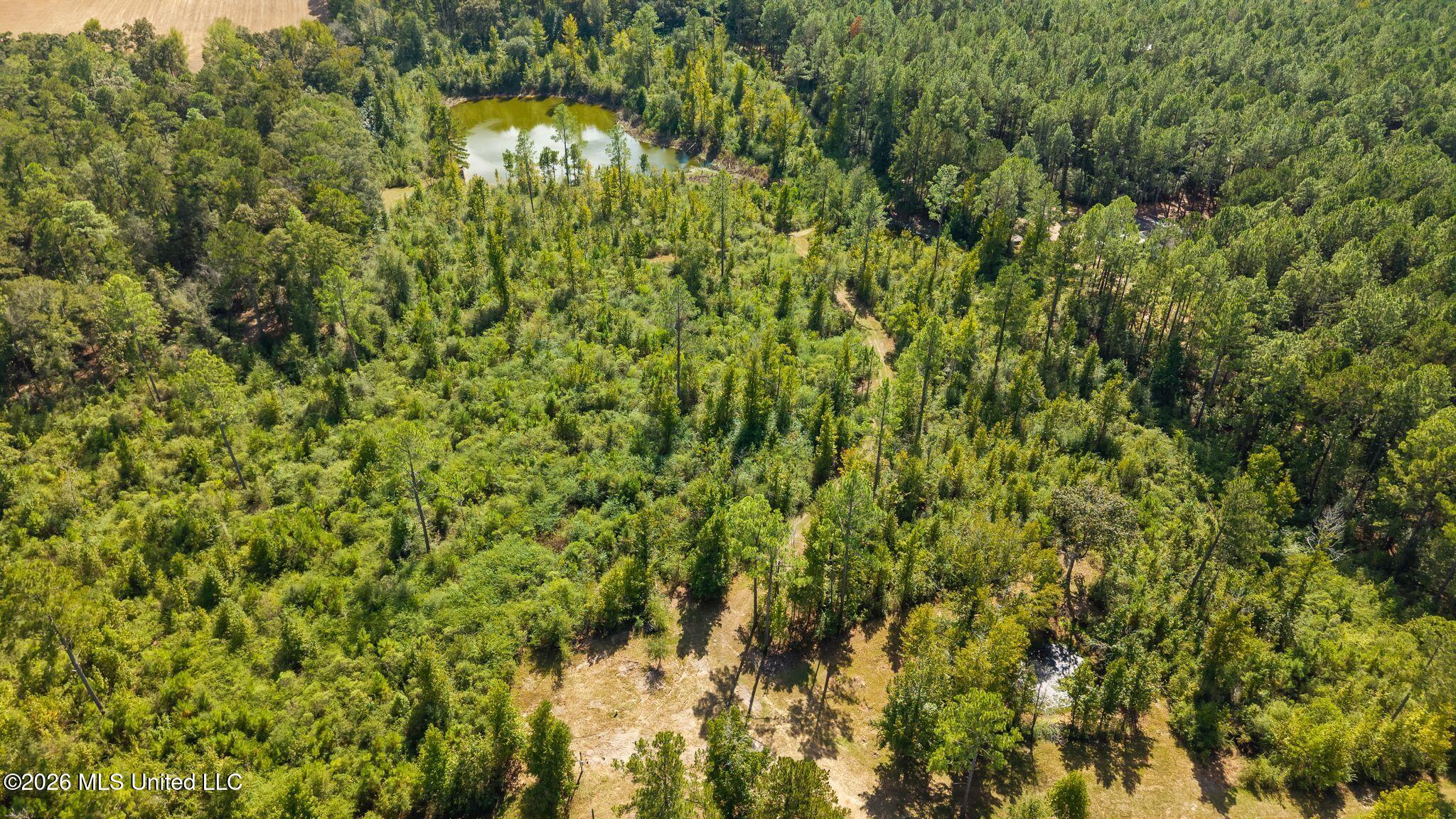 37 N Mill Creek Road Property Photo 5