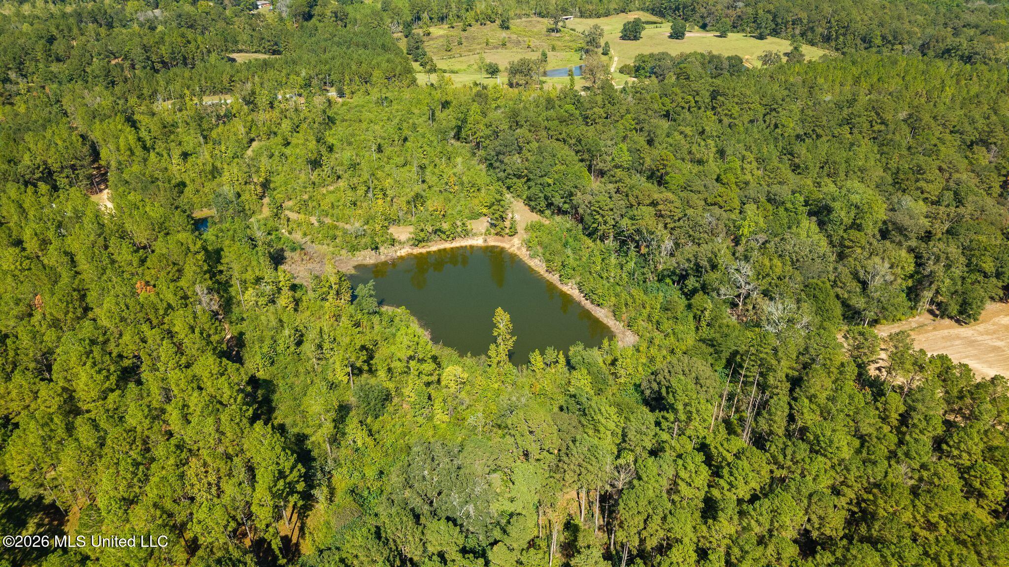 37 N Mill Creek Road Property Photo 7