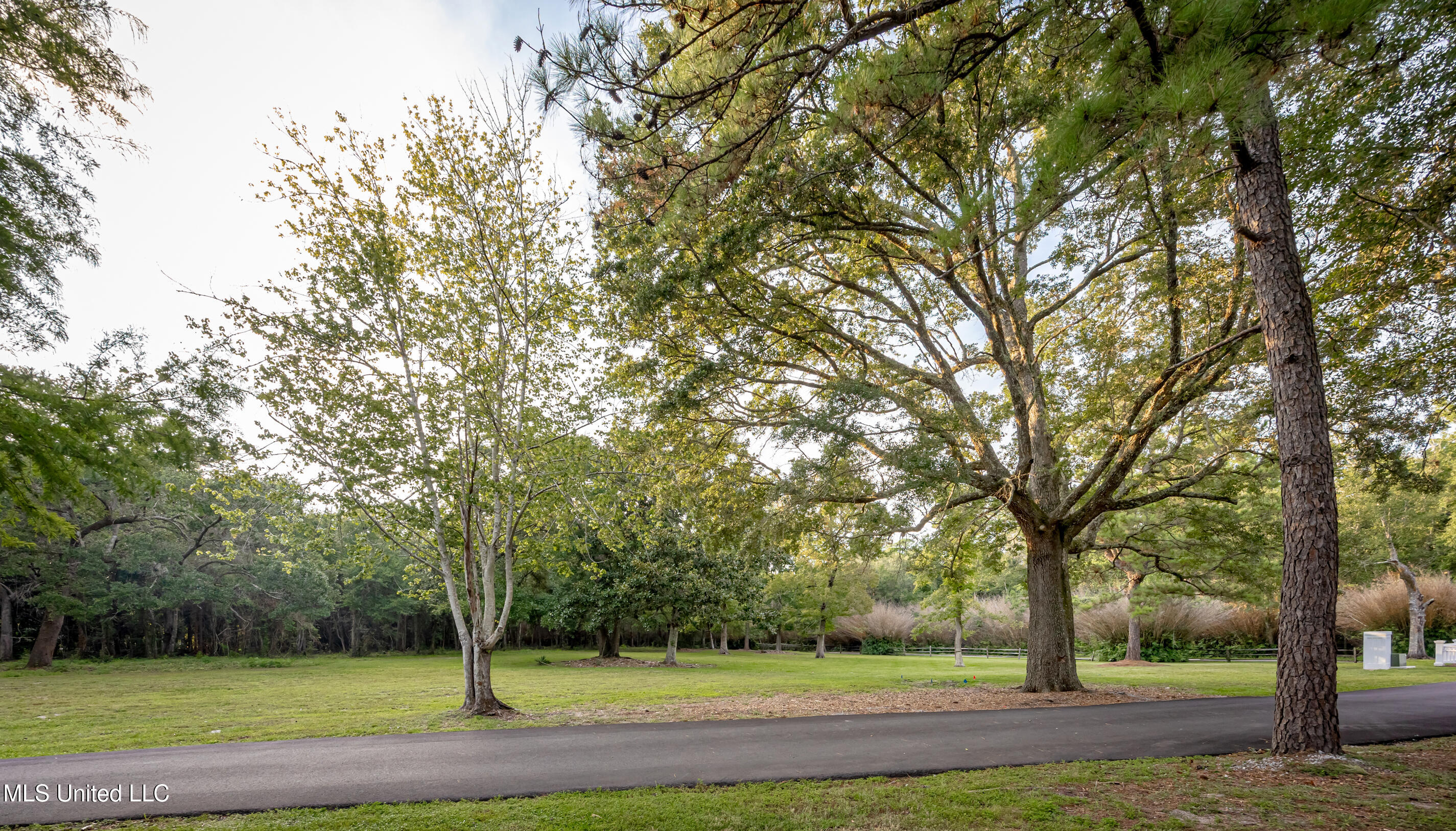 Lot 1 Pointe Aux Chenes Property Photo 6