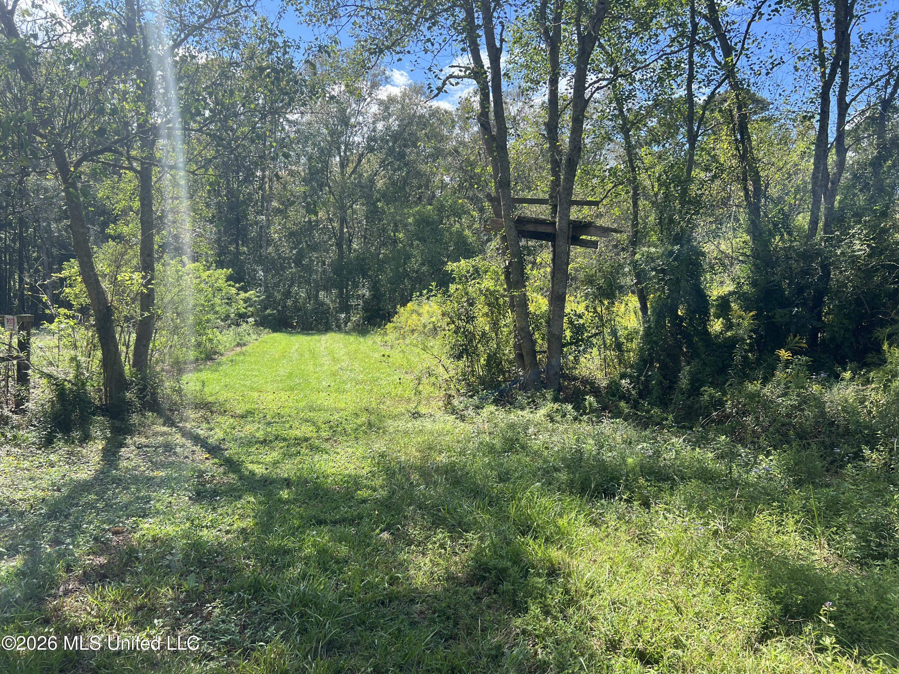 37 Horace E Mitchell Road Property Photo 2