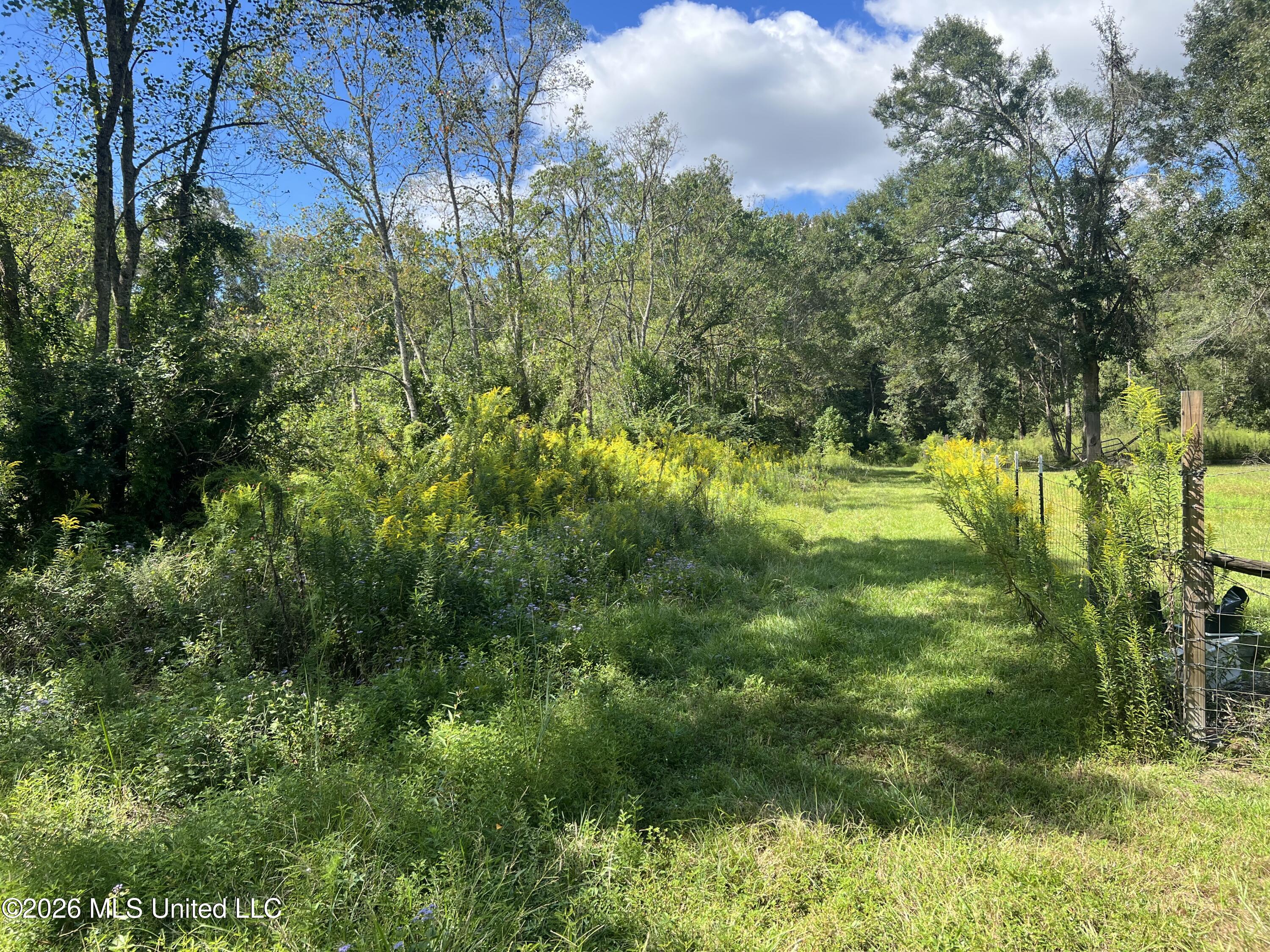 37 Horace E Mitchell Road Property Photo 5