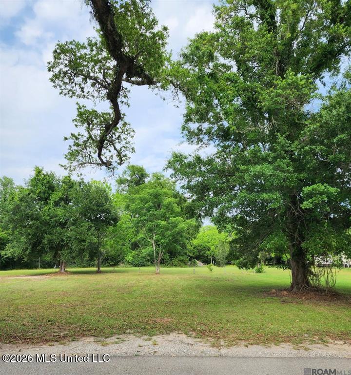 Parcel A Leovy Avenue Property Photo 3